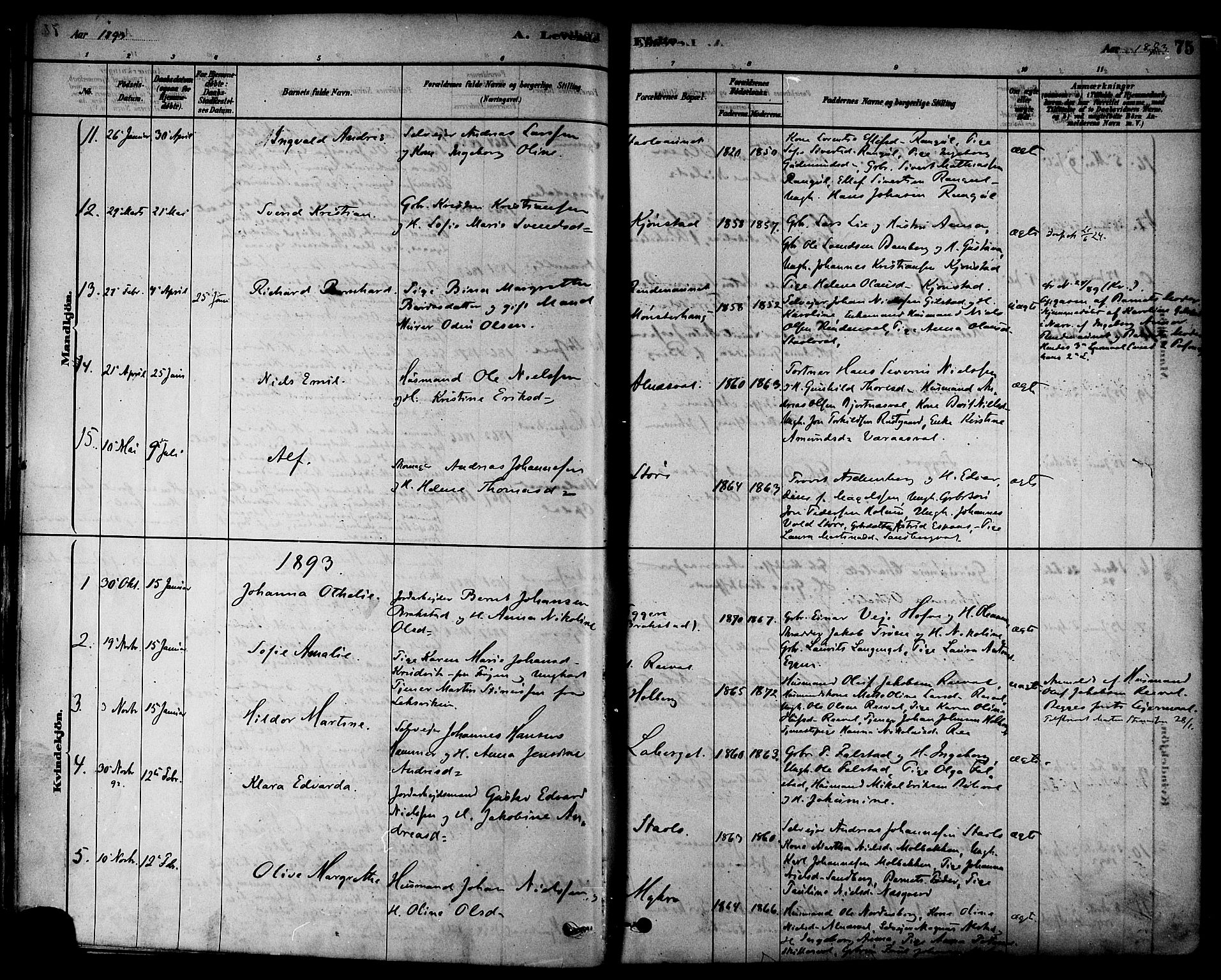 Ministerialprotokoller, klokkerbøker og fødselsregistre - Nord-Trøndelag, AV/SAT-A-1458/717/L0159: Parish register (official) no. 717A09, 1878-1898, p. 75