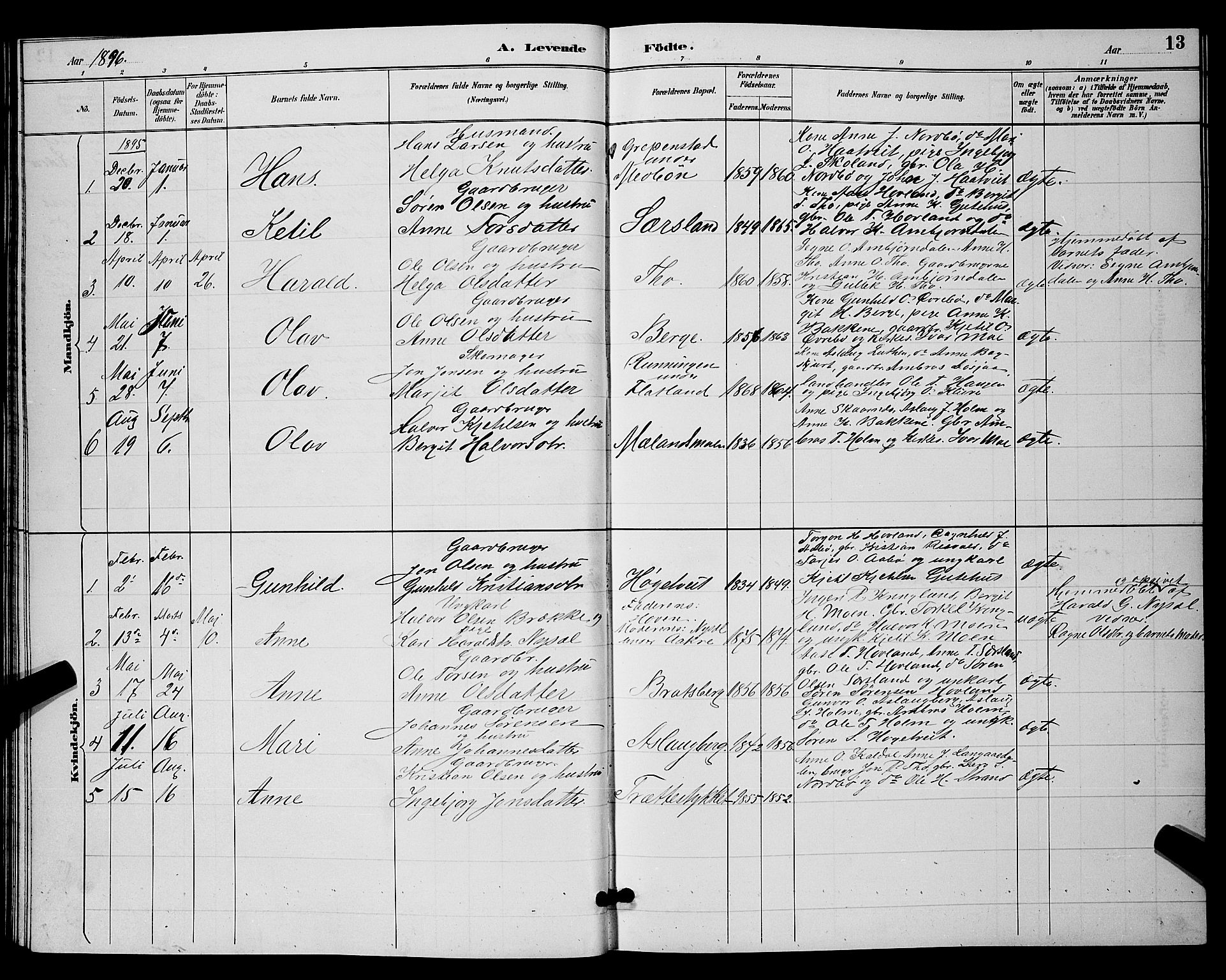 Hjartdal kirkebøker, SAKO/A-270/G/Ga/L0003: Parish register (copy) no. I 3, 1889-1896, p. 13