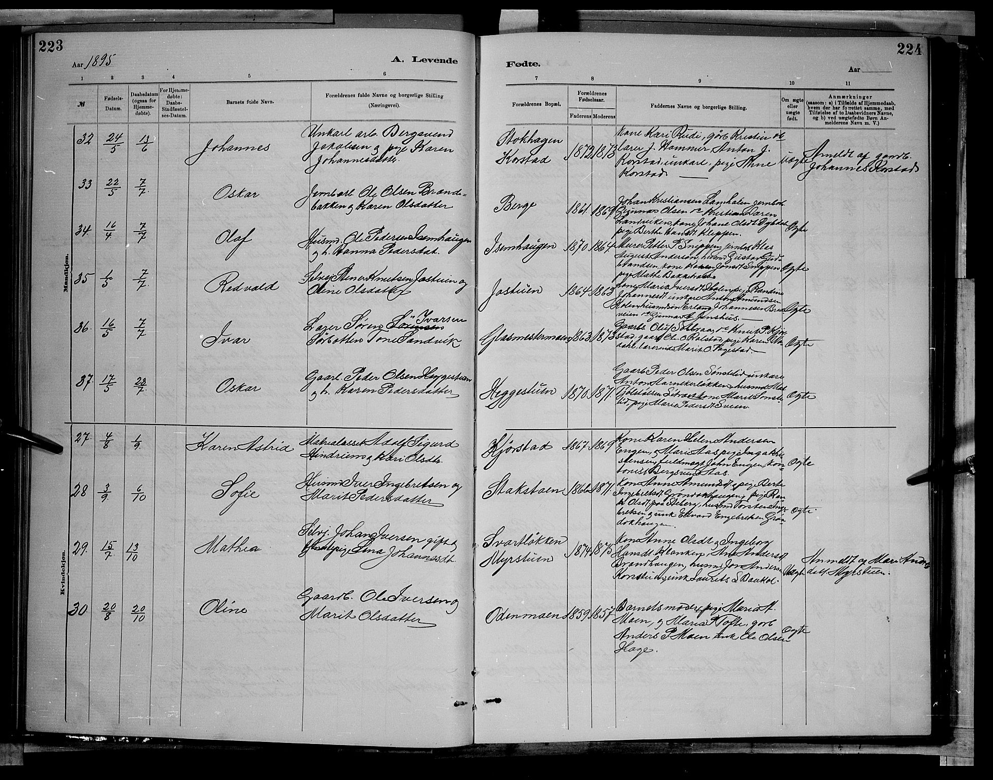 Sør-Fron prestekontor, AV/SAH-PREST-010/H/Ha/Hab/L0003: Parish register (copy) no. 3, 1884-1896, p. 223-224