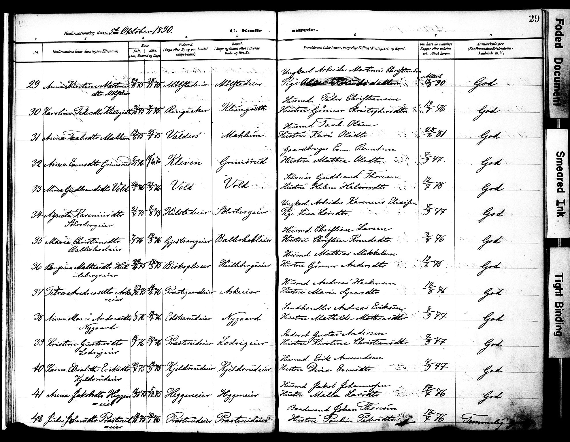 Nes prestekontor, Hedmark, AV/SAH-PREST-020/K/Ka/L0010: Parish register (official) no. 10, 1887-1905, p. 29