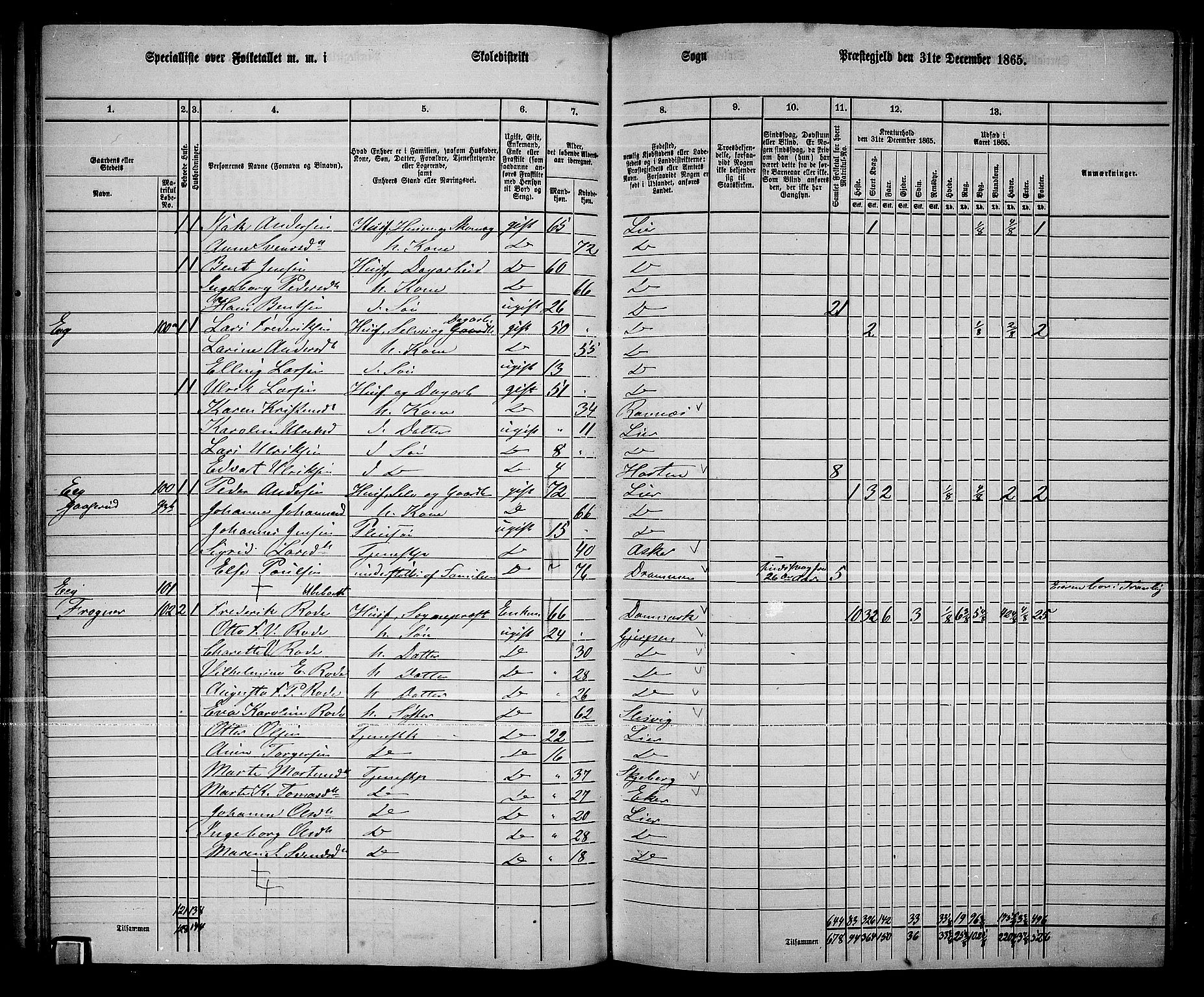 RA, 1865 census for Lier, 1865, p. 63