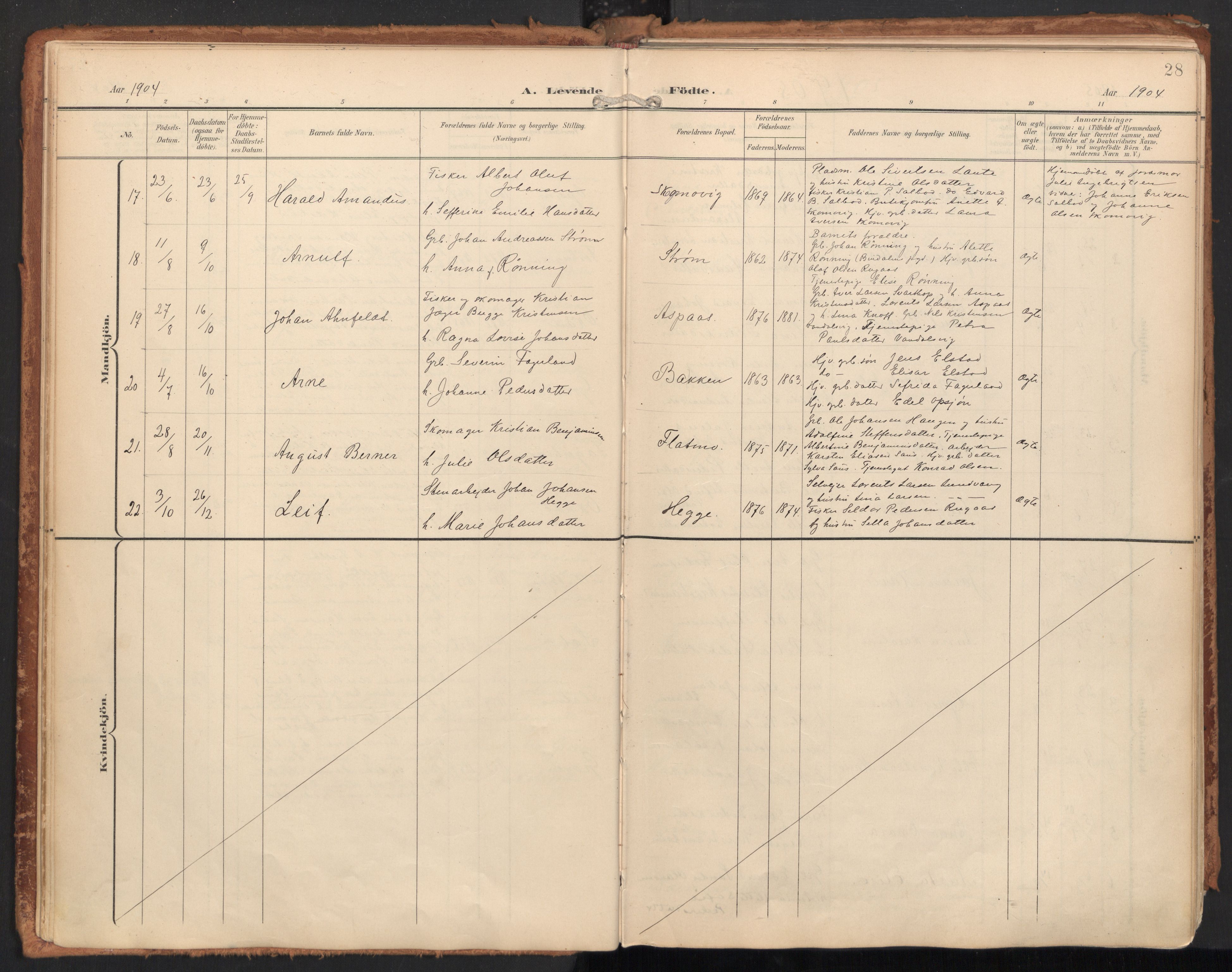 Ministerialprotokoller, klokkerbøker og fødselsregistre - Nordland, AV/SAT-A-1459/814/L0227: Parish register (official) no. 814A08, 1899-1920, p. 28