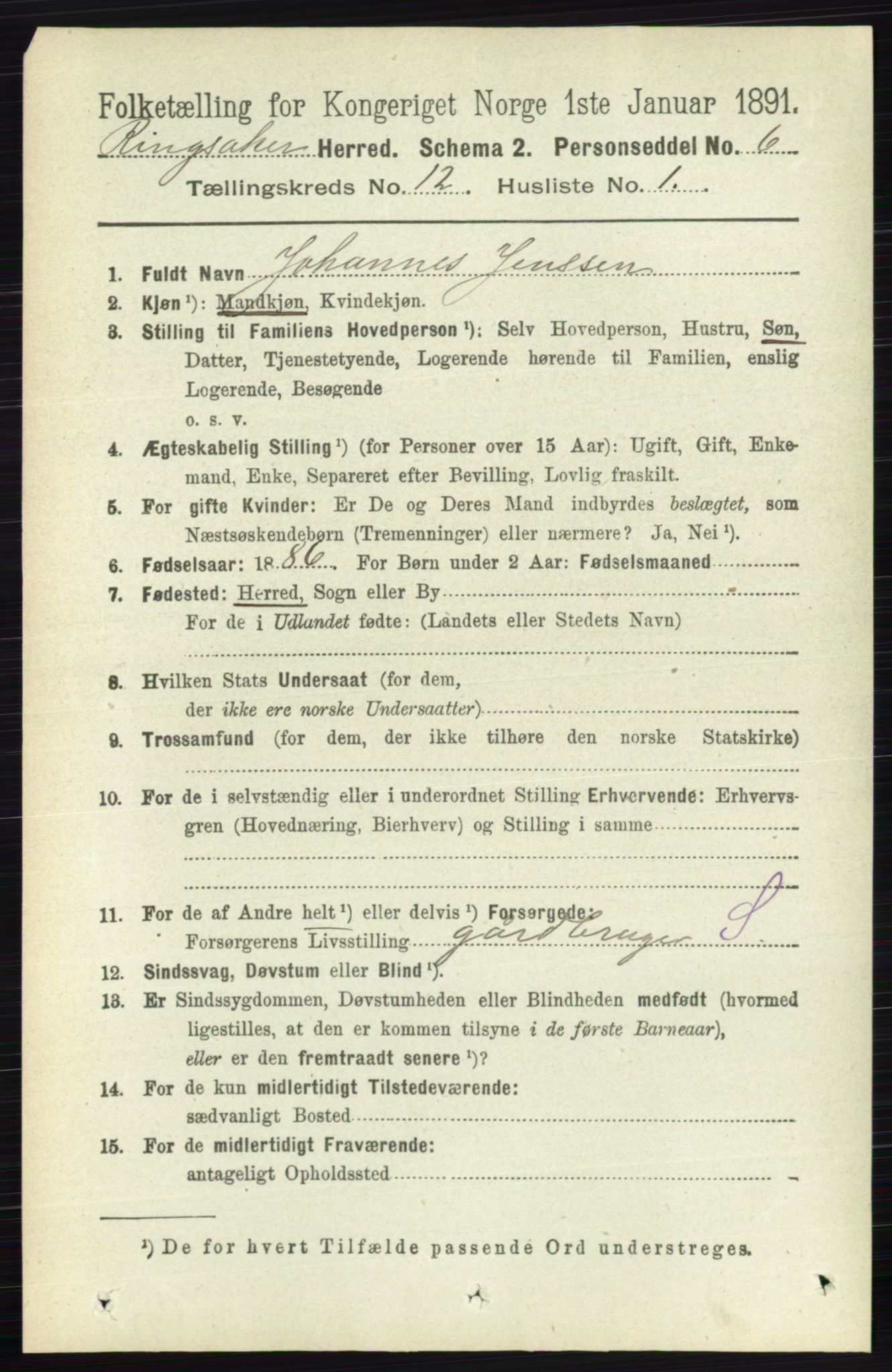 RA, 1891 census for 0412 Ringsaker, 1891, p. 6767