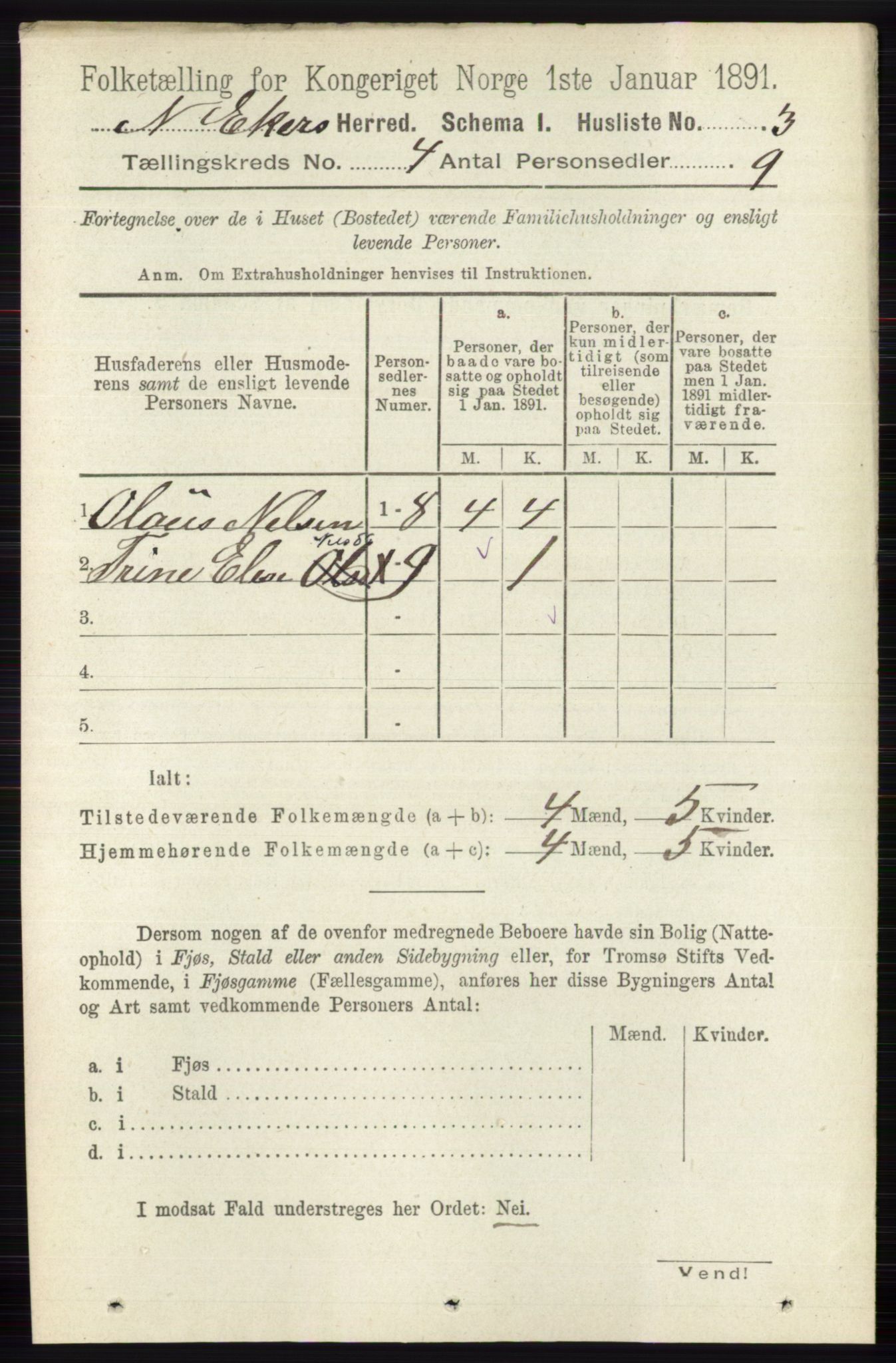 RA, 1891 census for 0625 Nedre Eiker, 1891, p. 1885