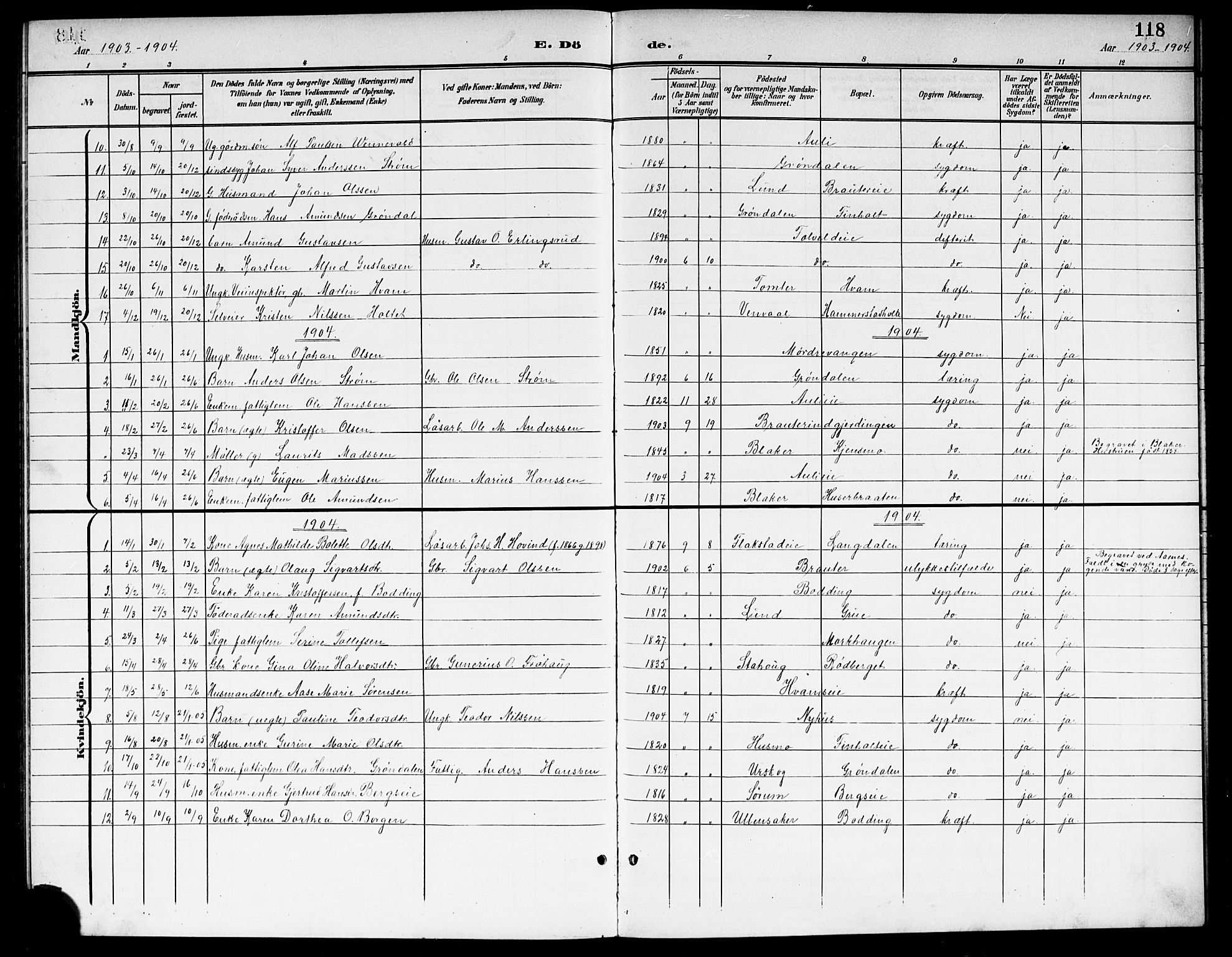 Nes prestekontor Kirkebøker, SAO/A-10410/G/Gb/L0001: Parish register (copy) no. II 1, 1901-1917, p. 118