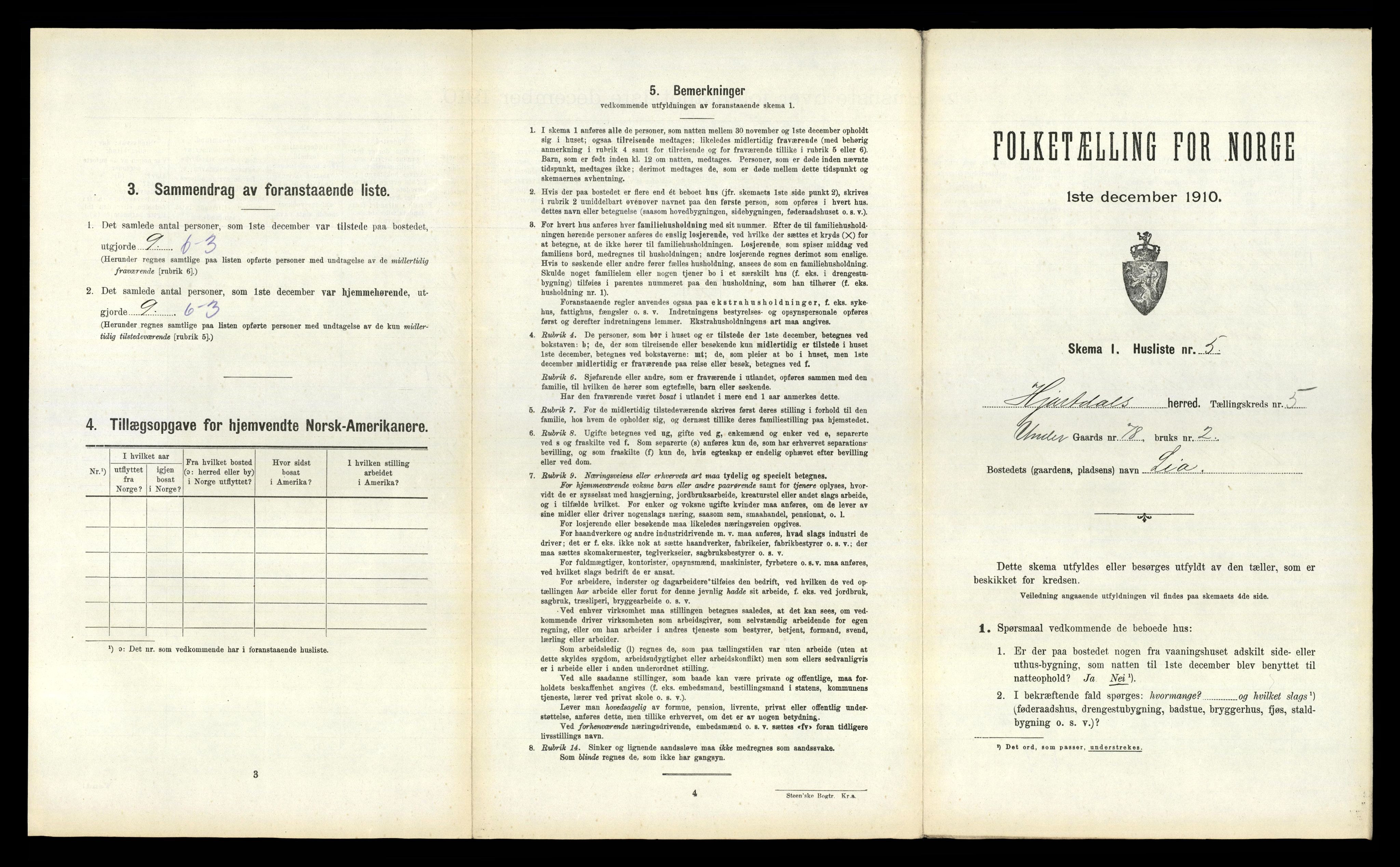 RA, 1910 census for Hjartdal, 1910, p. 556