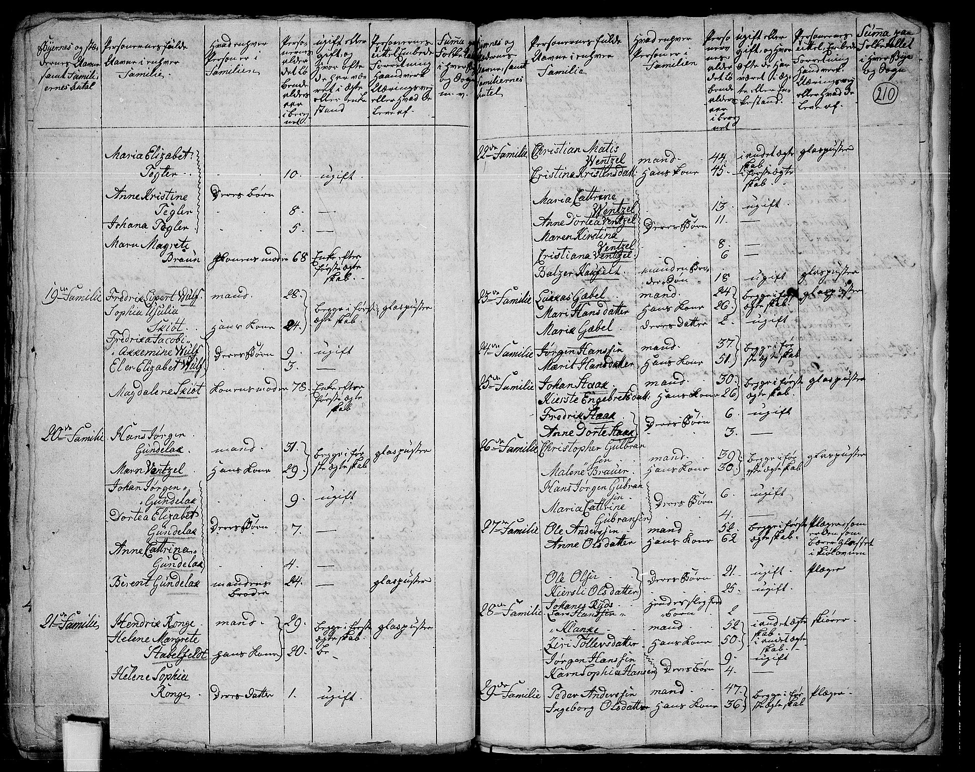 RA, 1801 census for 0525P Biri, 1801, p. 209b-210a