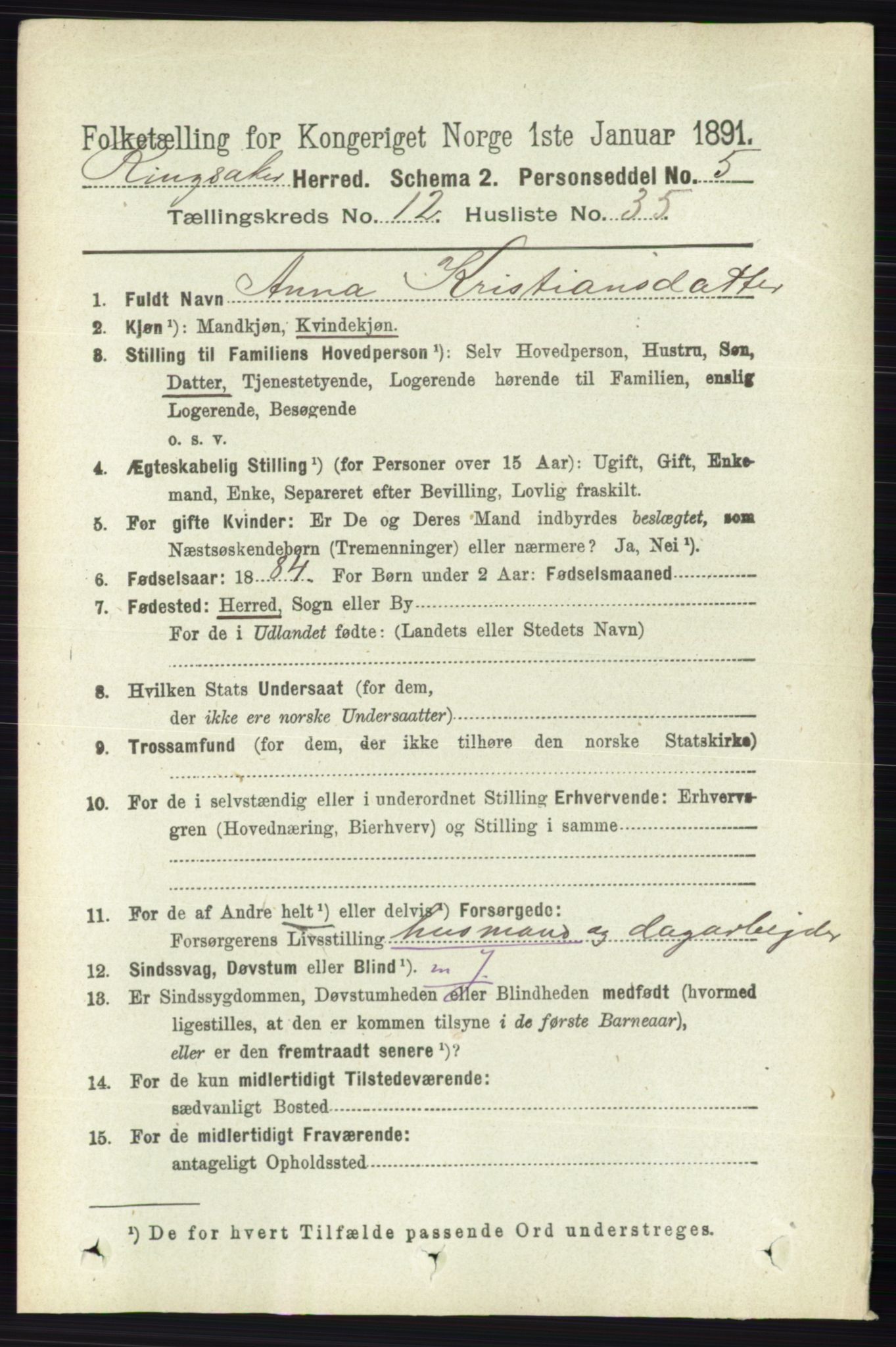 RA, 1891 census for 0412 Ringsaker, 1891, p. 6947