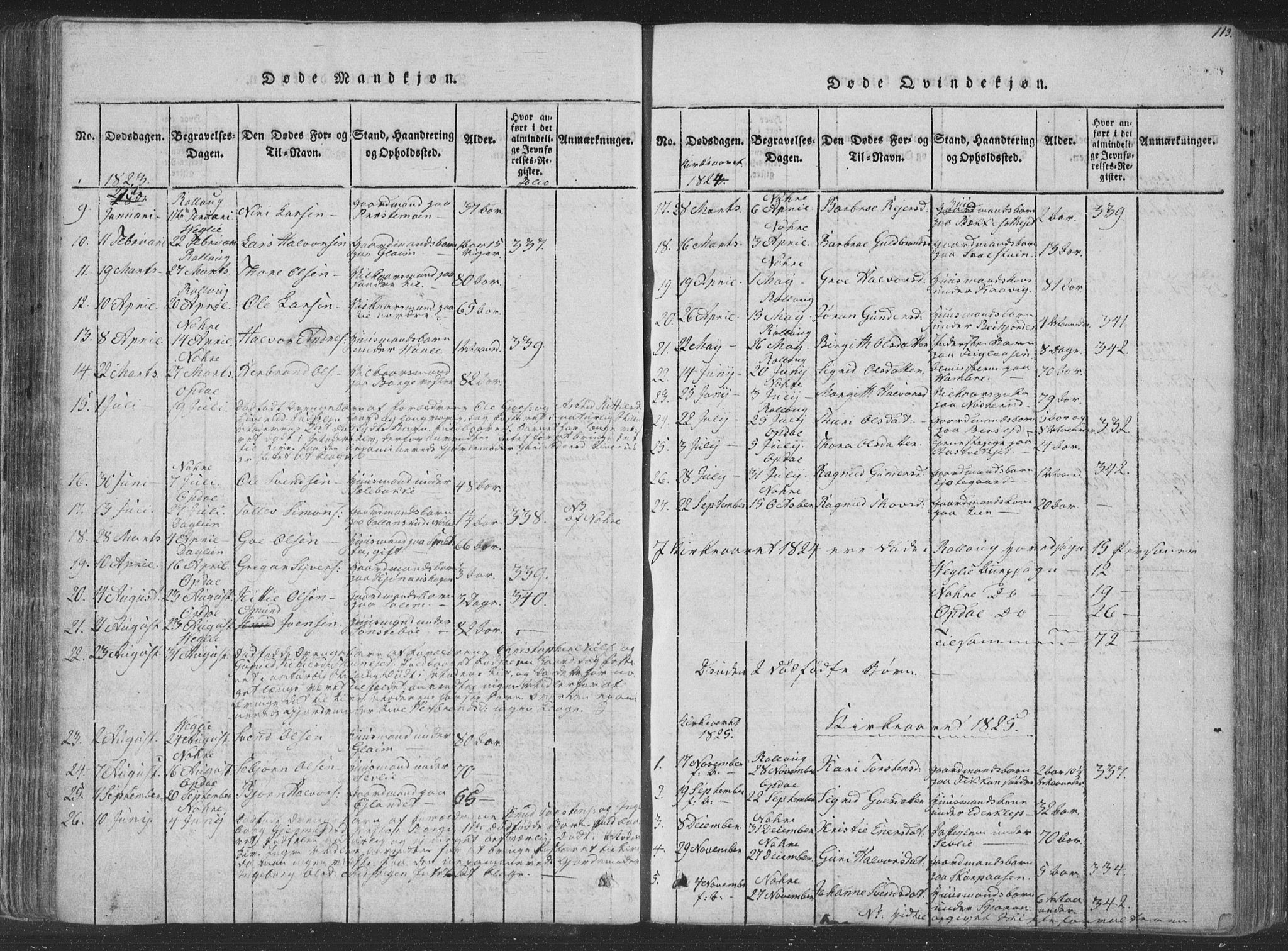 Rollag kirkebøker, AV/SAKO-A-240/F/Fa/L0006: Parish register (official) no. I 6, 1814-1828, p. 113