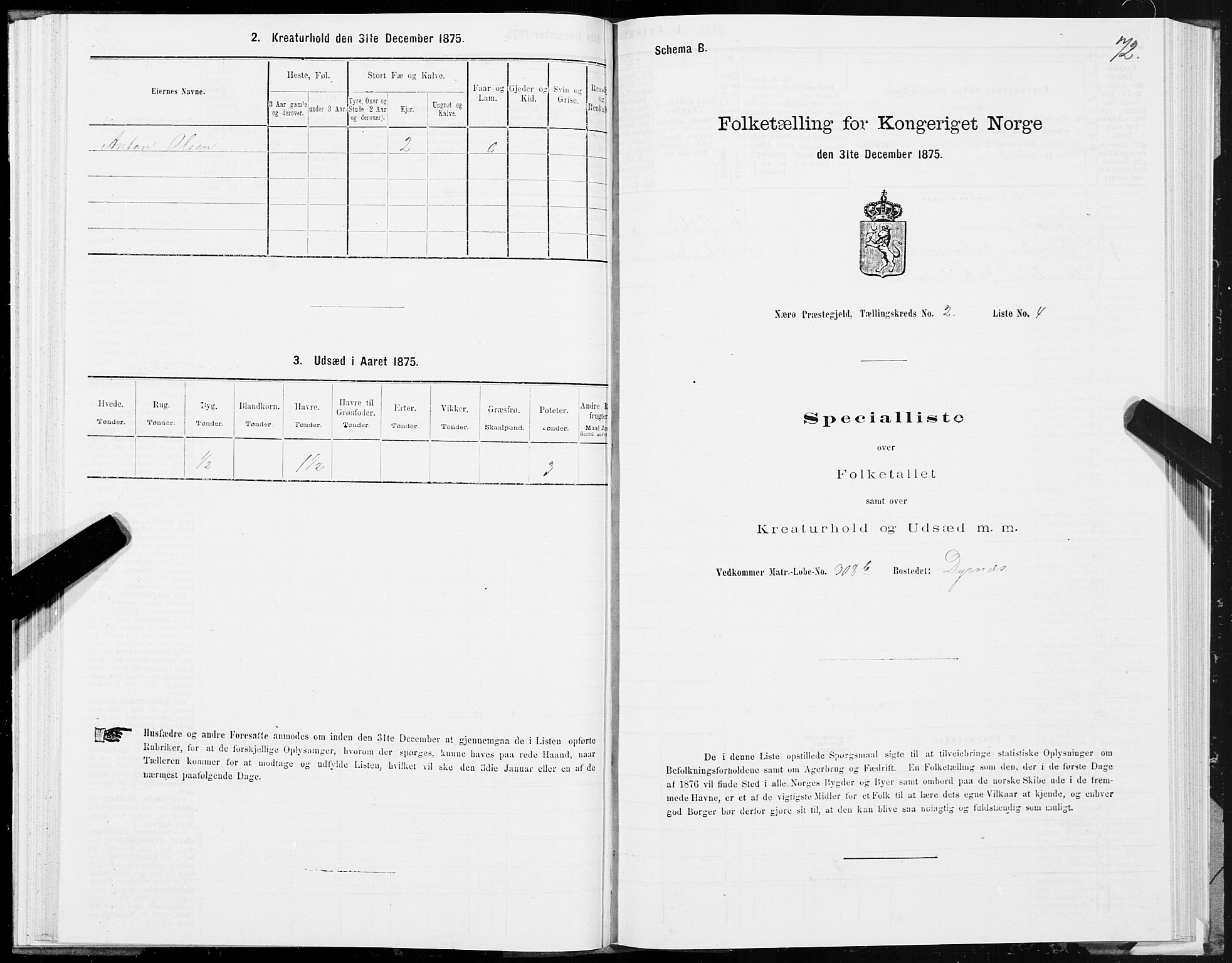 SAT, 1875 census for 1751P Nærøy, 1875, p. 1072