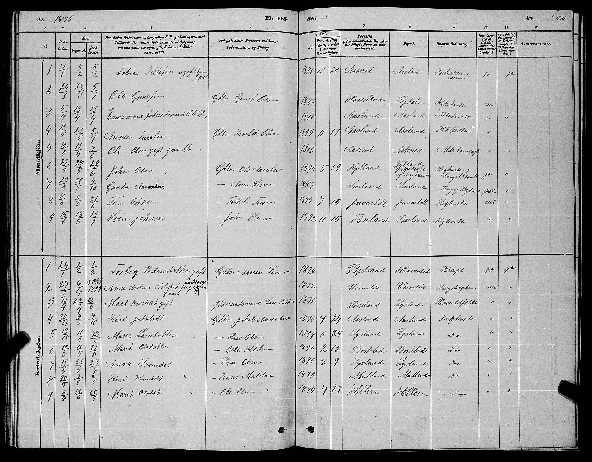 Åseral sokneprestkontor, AV/SAK-1111-0051/F/Fb/L0002: Parish register (copy) no. B 2, 1878-1899, p. 220