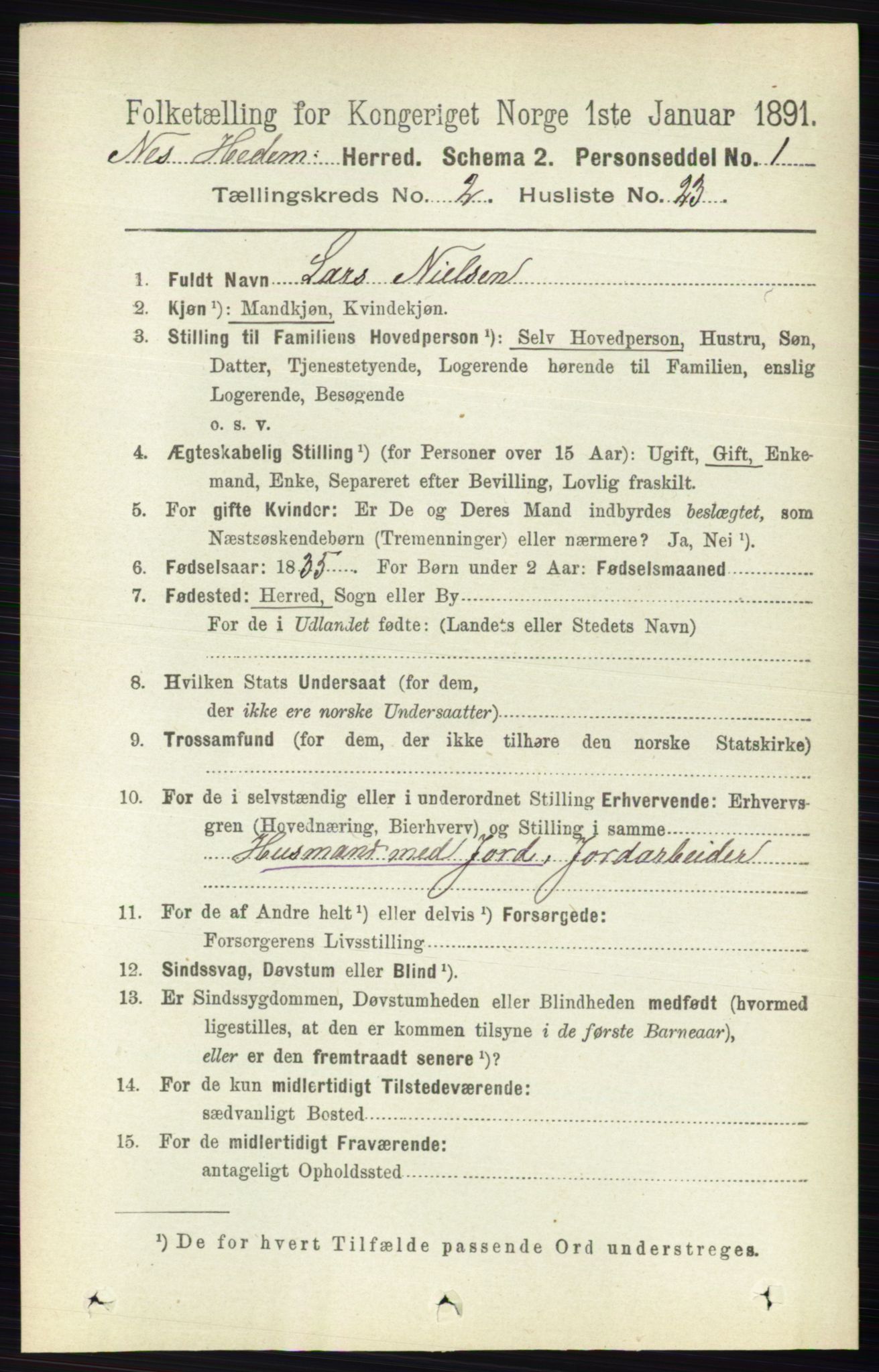 RA, 1891 census for 0411 Nes, 1891, p. 1245