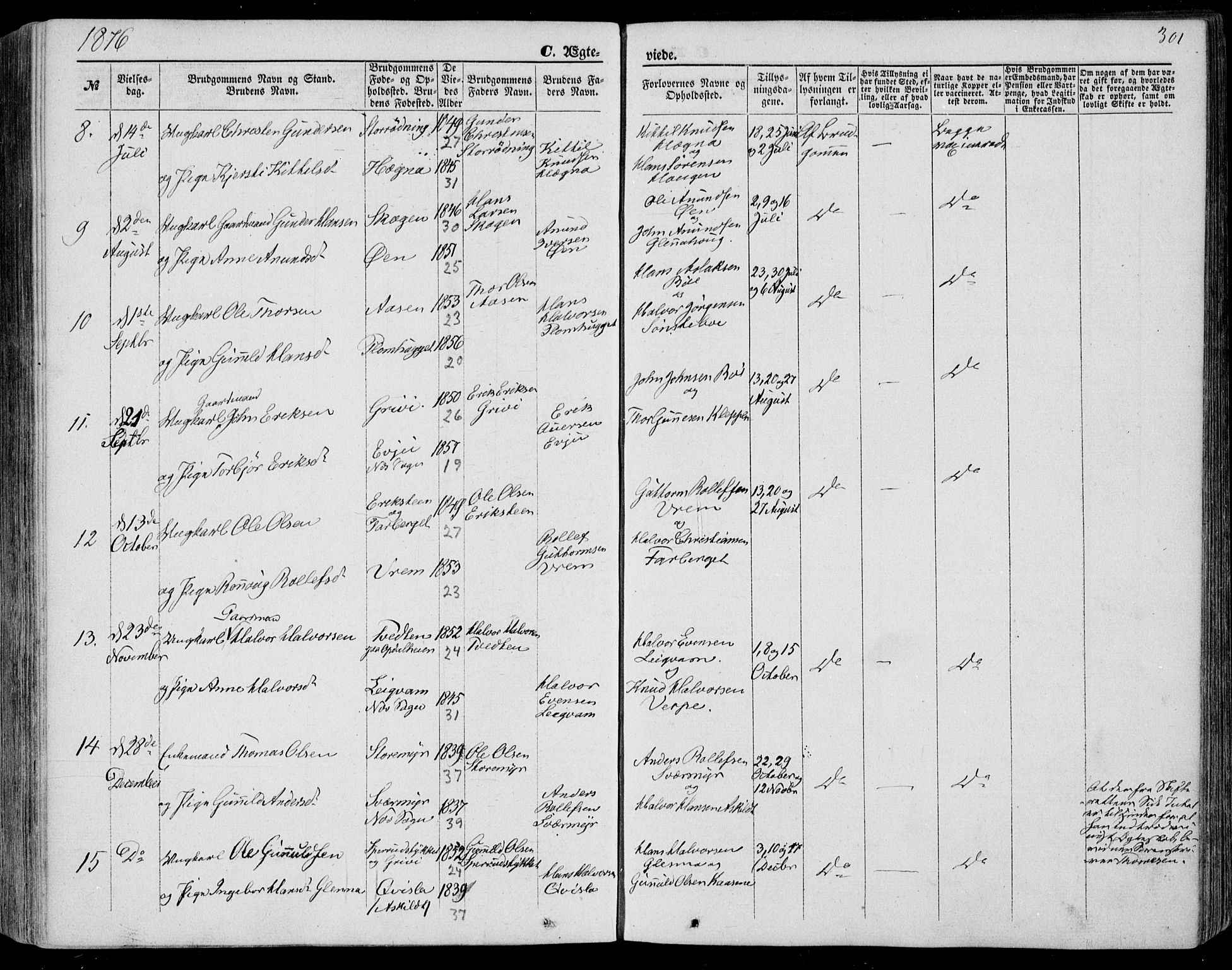 Bø kirkebøker, SAKO/A-257/F/Fa/L0009: Parish register (official) no. 9, 1862-1879, p. 301