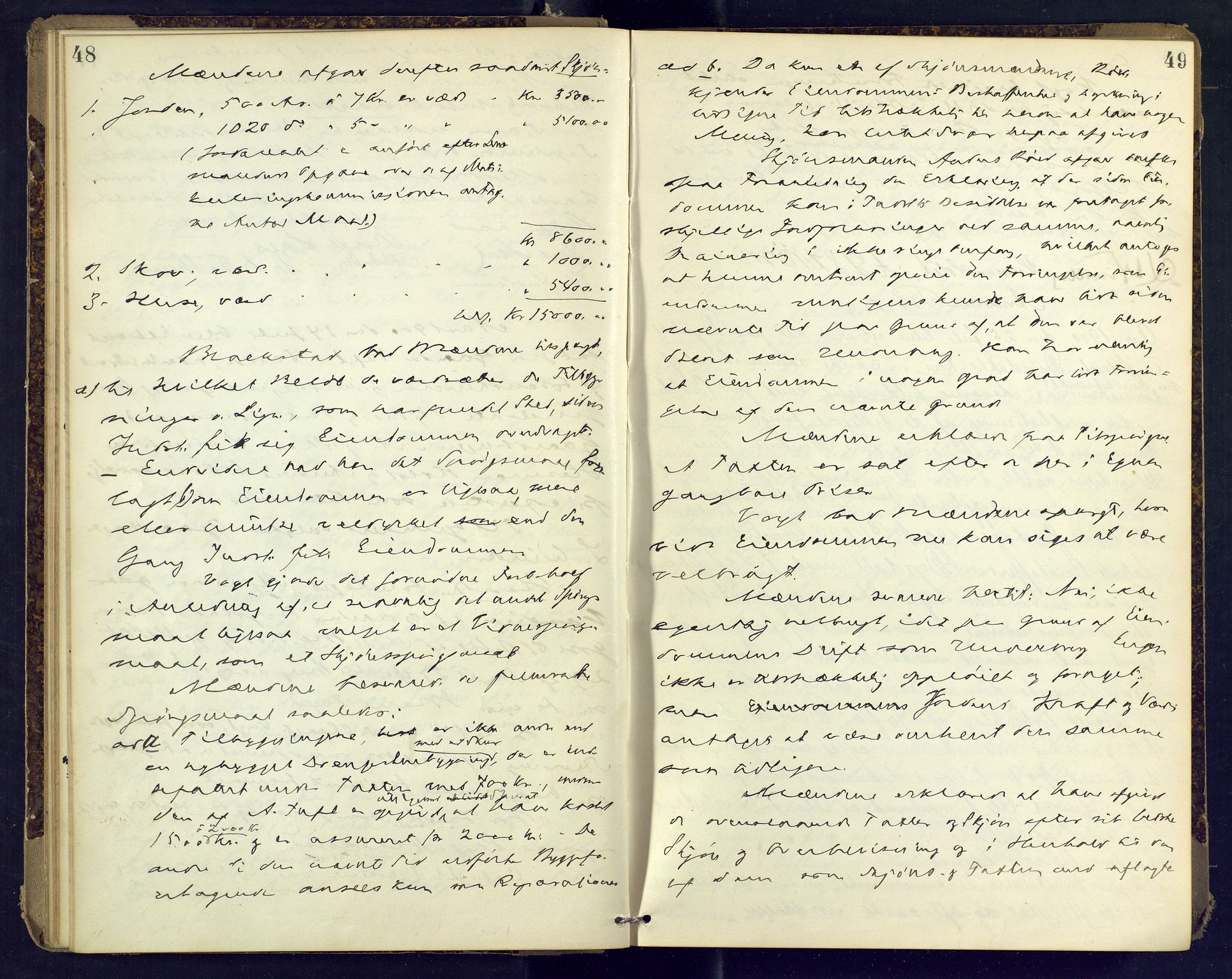 Nordre Jarlsberg sorenskriveri, AV/SAKO-A-80/F/Fb/Fba/L0030: Ekstrarettsprotokoll, 1899-1904, p. 48-49