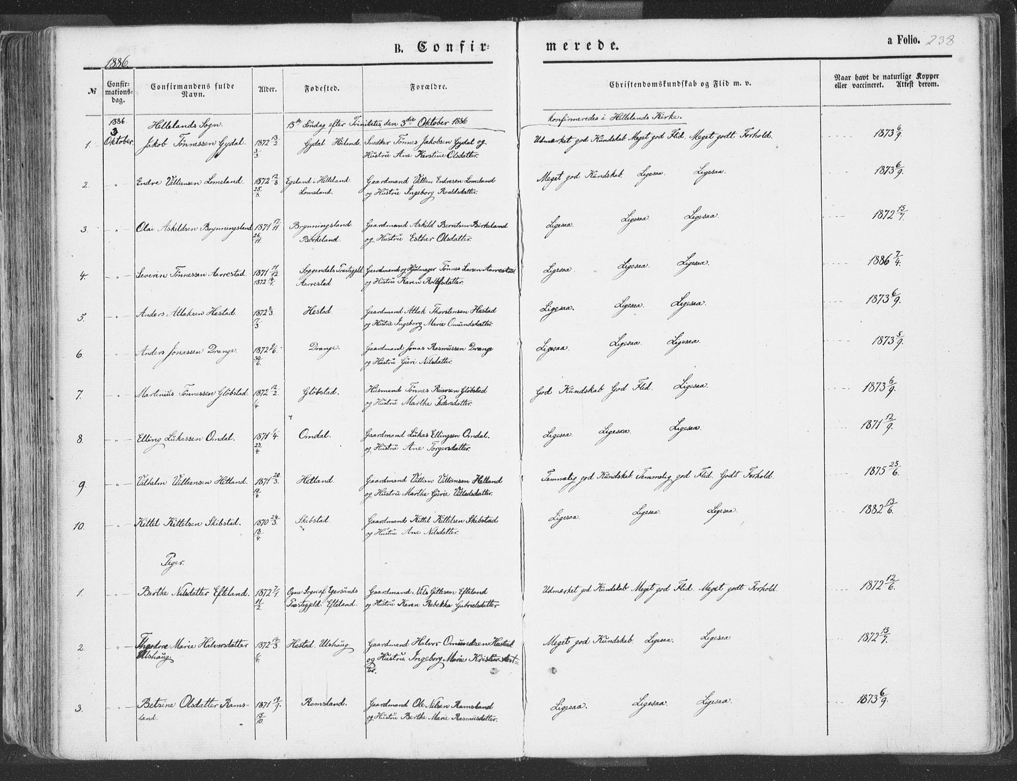 Helleland sokneprestkontor, SAST/A-101810: Parish register (official) no. A 7.1, 1863-1886, p. 238