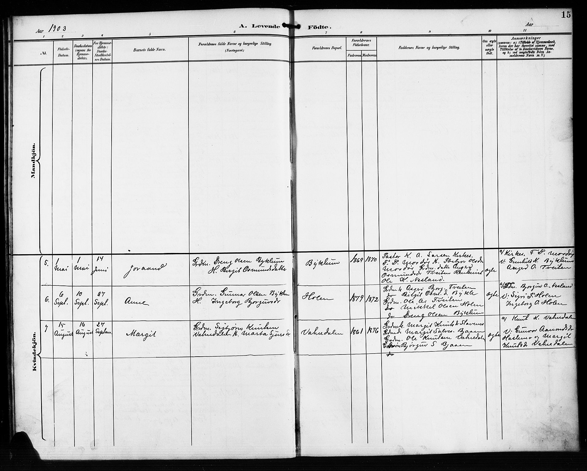 Valle sokneprestkontor, AV/SAK-1111-0044/F/Fb/Fba/L0003: Parish register (copy) no. B 3, 1895-1916, p. 15