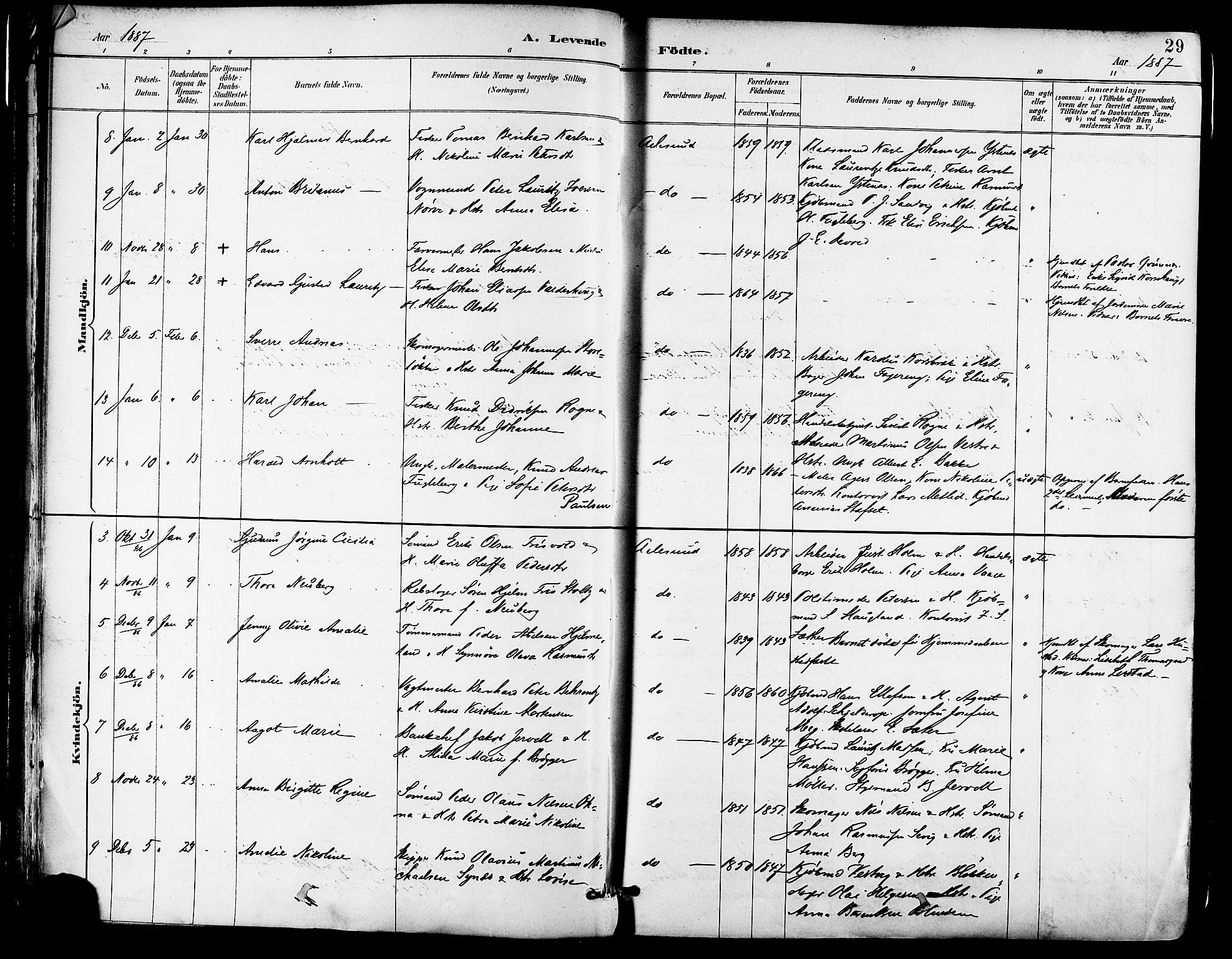 Ministerialprotokoller, klokkerbøker og fødselsregistre - Møre og Romsdal, AV/SAT-A-1454/529/L0455: Parish register (official) no. 529A05, 1885-1893, p. 29