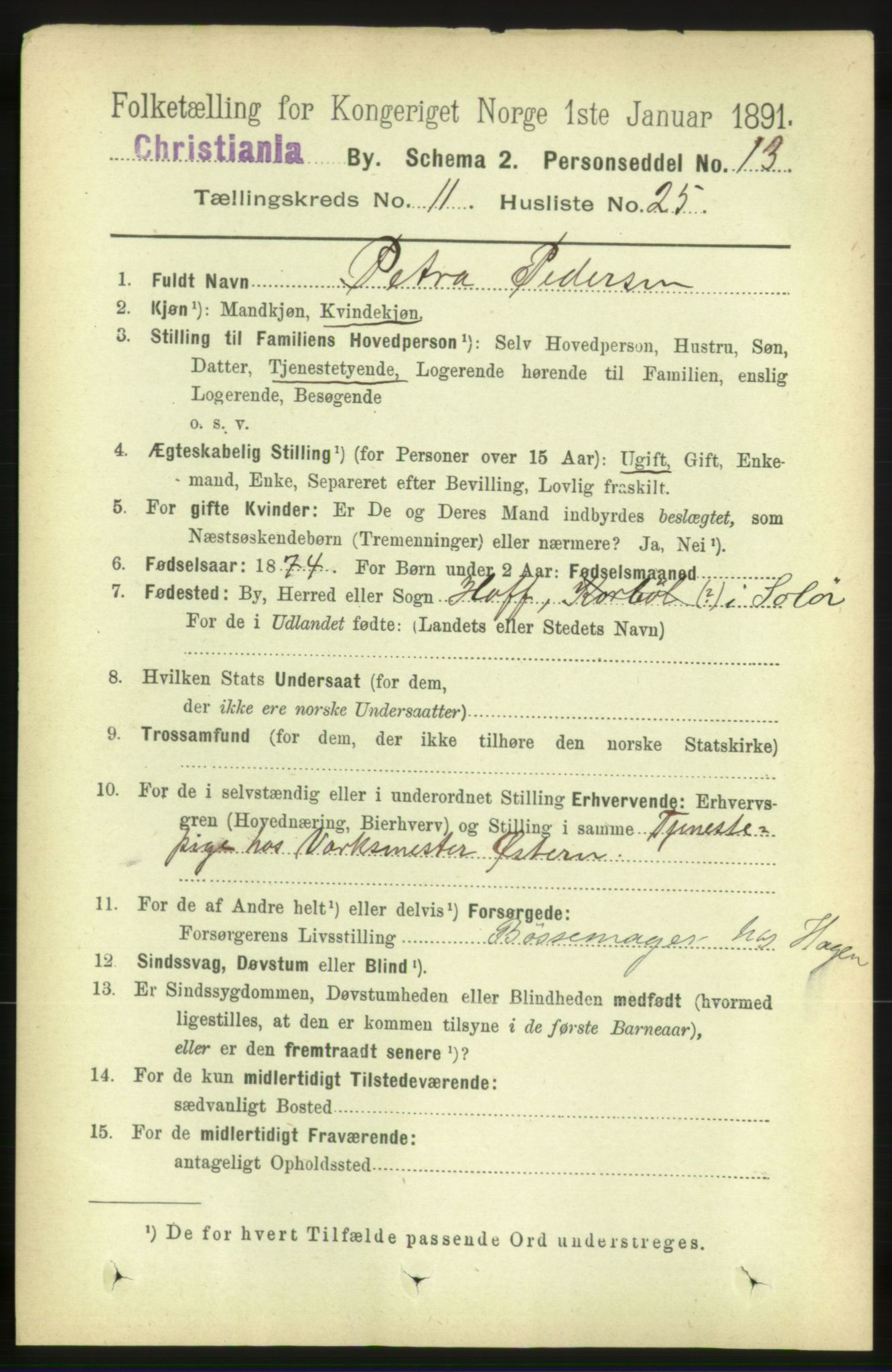 RA, 1891 census for 0301 Kristiania, 1891, p. 5295