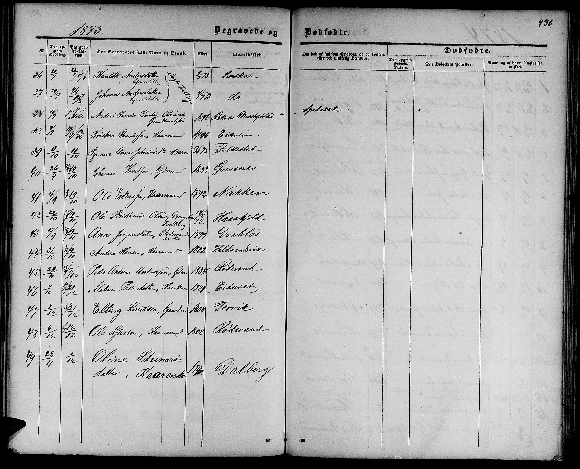 Ministerialprotokoller, klokkerbøker og fødselsregistre - Møre og Romsdal, AV/SAT-A-1454/511/L0157: Parish register (copy) no. 511C03, 1864-1884, p. 436