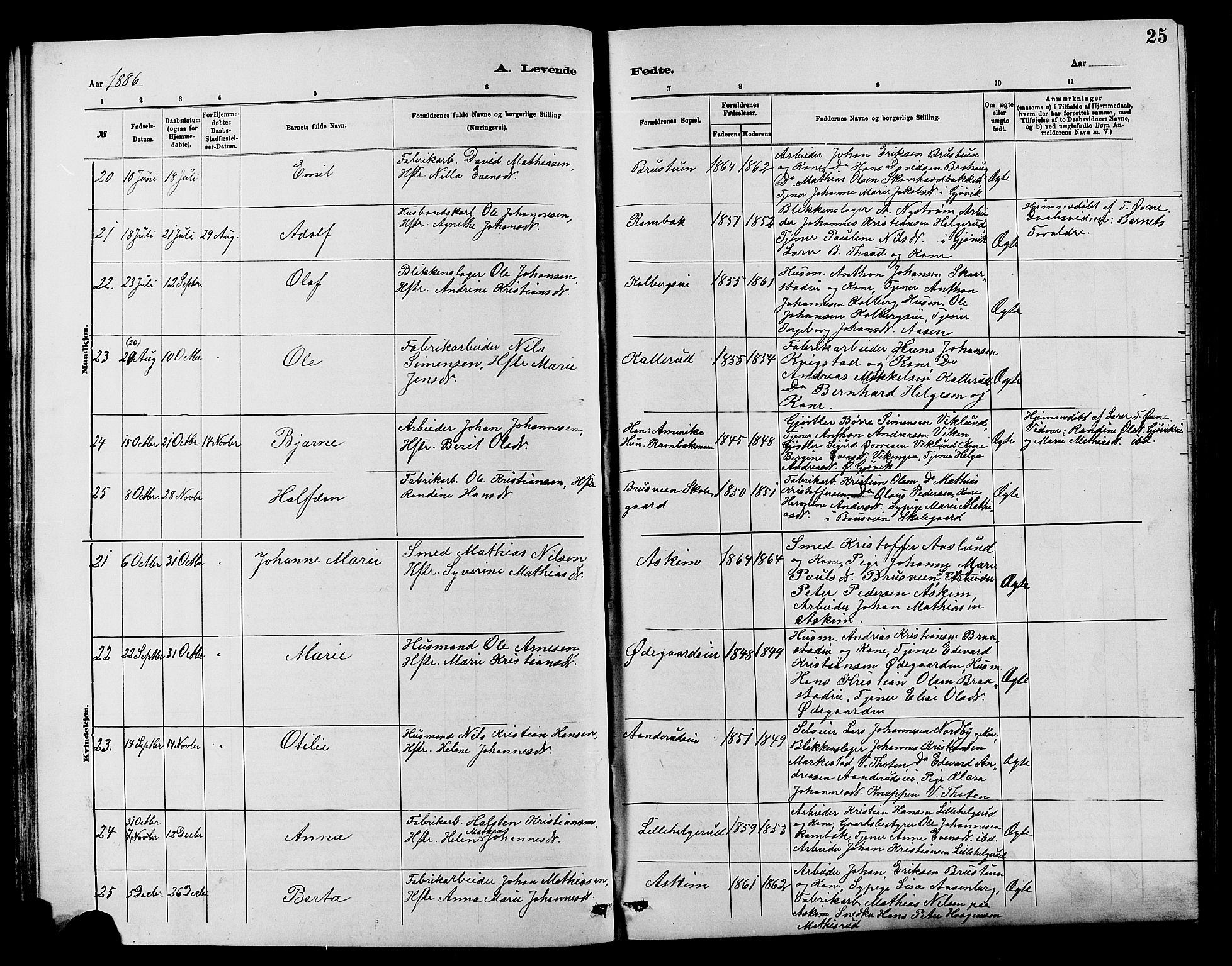 Vardal prestekontor, SAH/PREST-100/H/Ha/Hab/L0007: Parish register (copy) no. 7 /1, 1881-1895, p. 25