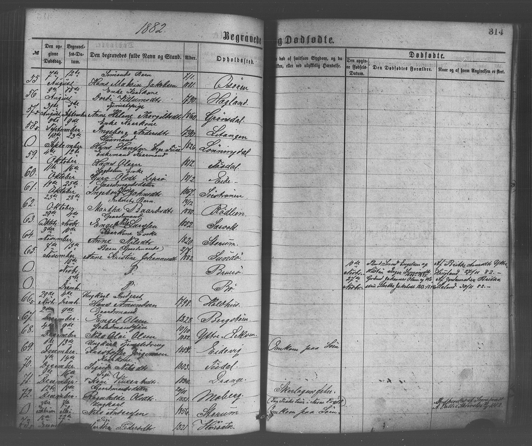 Os sokneprestembete, SAB/A-99929: Parish register (official) no. A 18, 1874-1884, p. 314