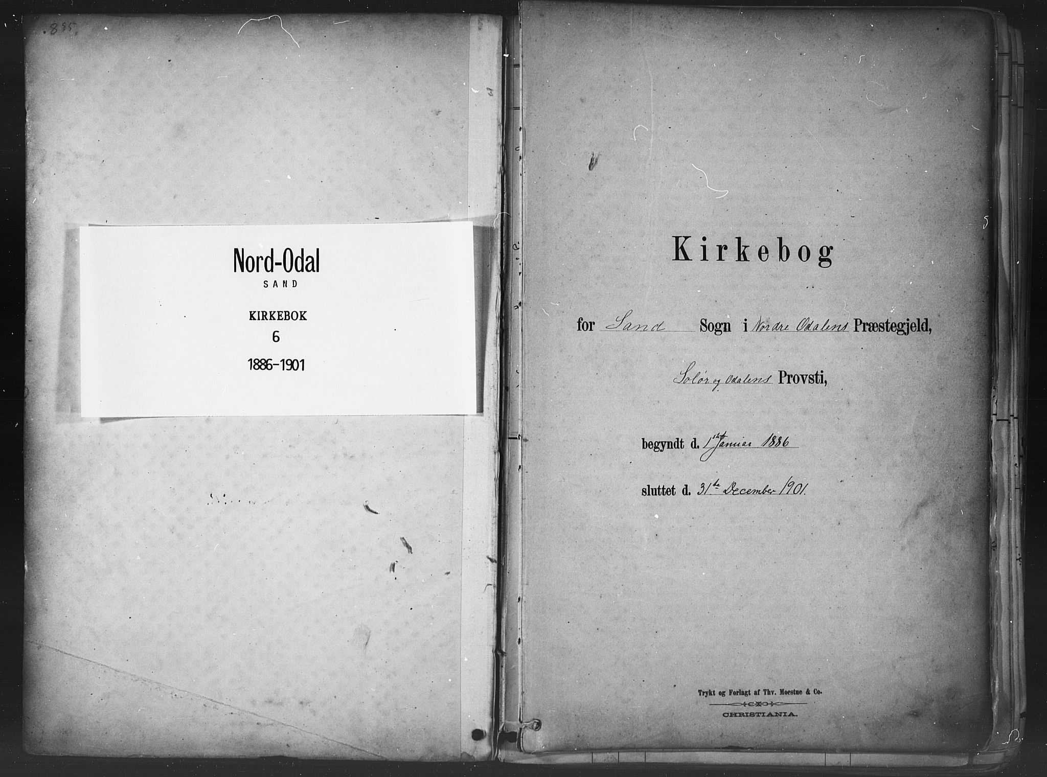 Nord-Odal prestekontor, AV/SAH-PREST-032/H/Ha/Haa/L0006: Parish register (official) no. 6, 1886-1901