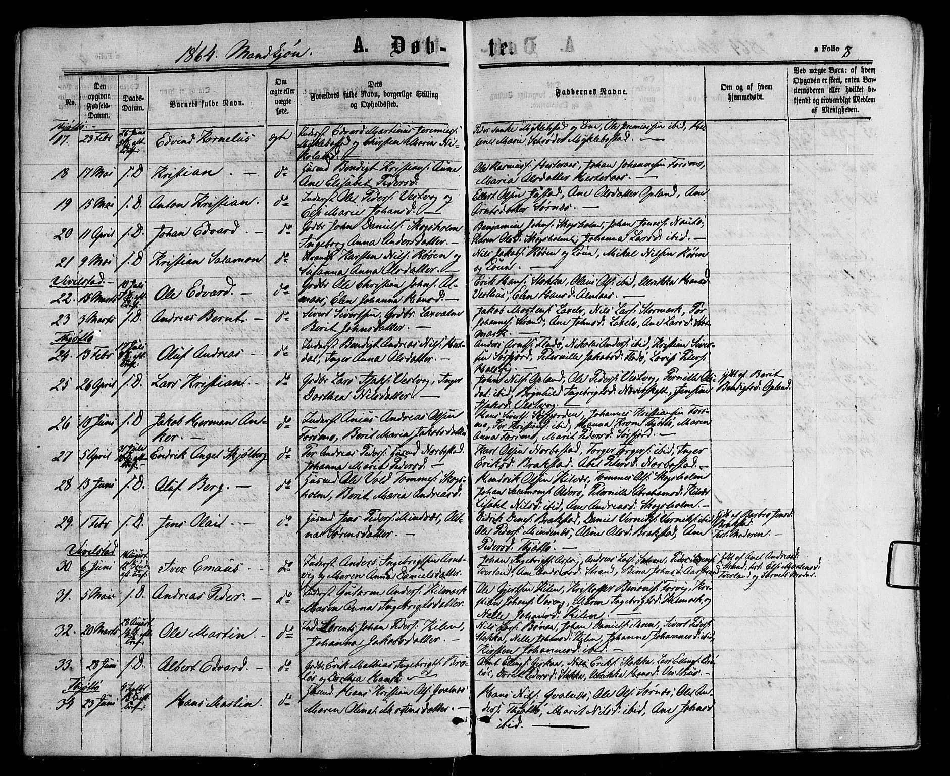 Ministerialprotokoller, klokkerbøker og fødselsregistre - Nordland, AV/SAT-A-1459/817/L0262: Parish register (official) no. 817A03/ 1, 1862-1877, p. 8