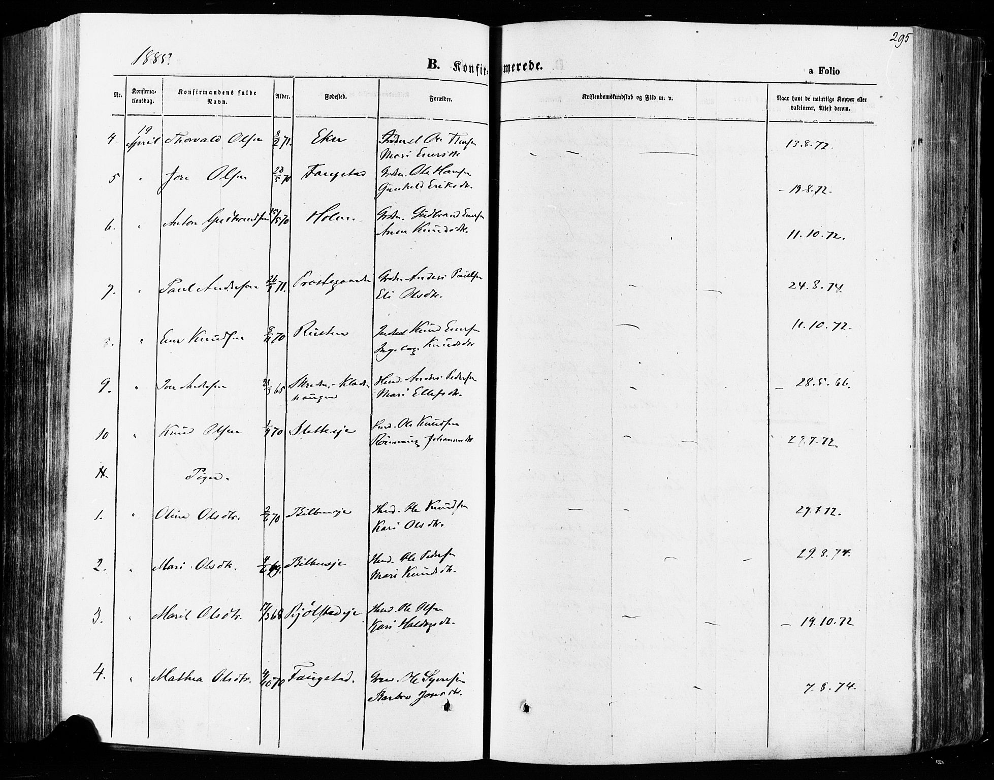 Vågå prestekontor, SAH/PREST-076/H/Ha/Haa/L0007: Parish register (official) no. 7 /1, 1872-1886, p. 295