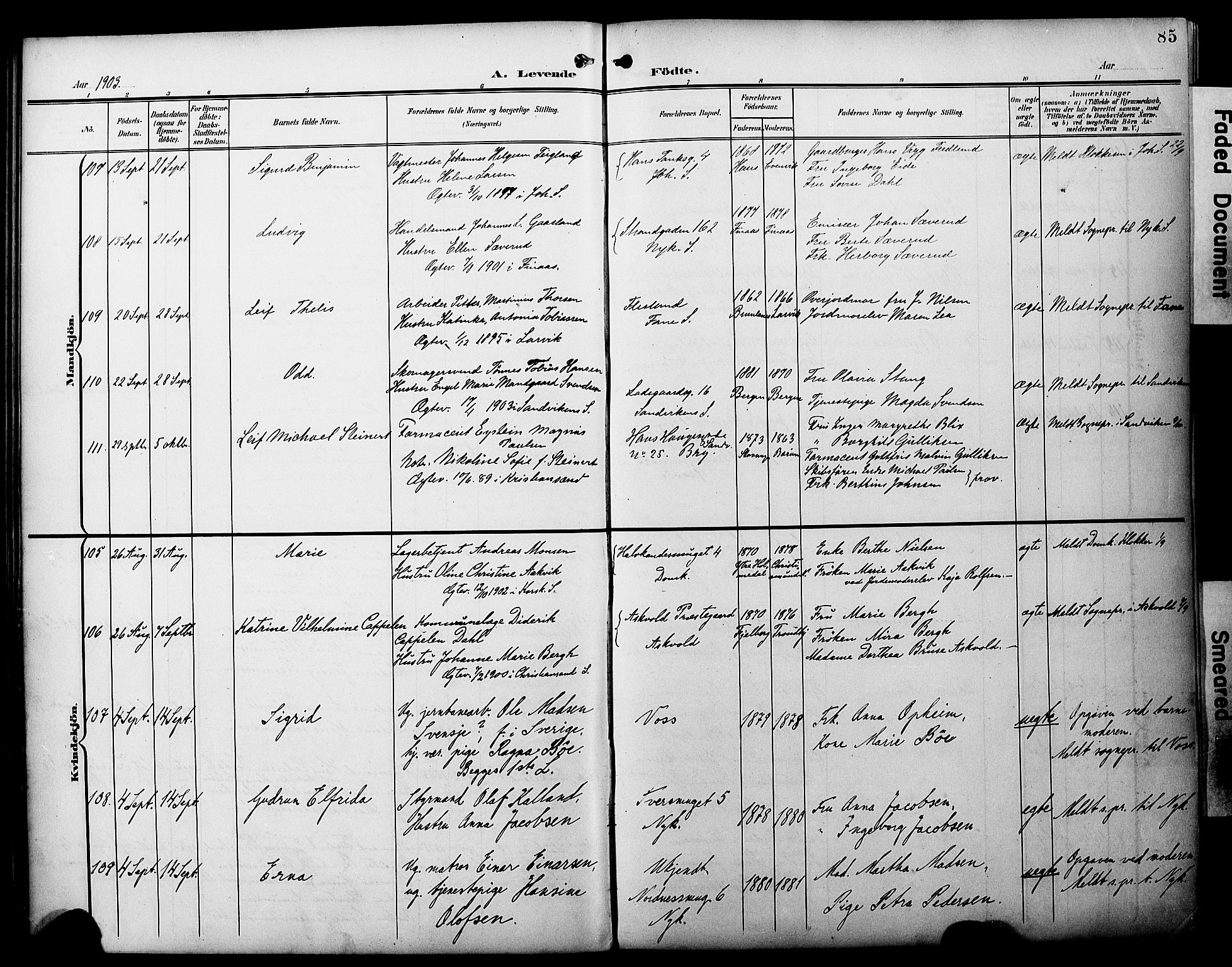 Fødselsstiftelsens sokneprestembete*, SAB/-: Parish register (official) no. A 3, 1901-1910, p. 85