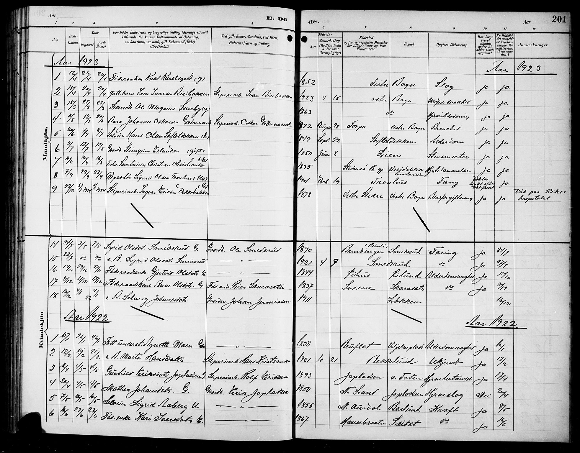 Sør-Aurdal prestekontor, SAH/PREST-128/H/Ha/Hab/L0009: Parish register (copy) no. 9, 1894-1924, p. 201