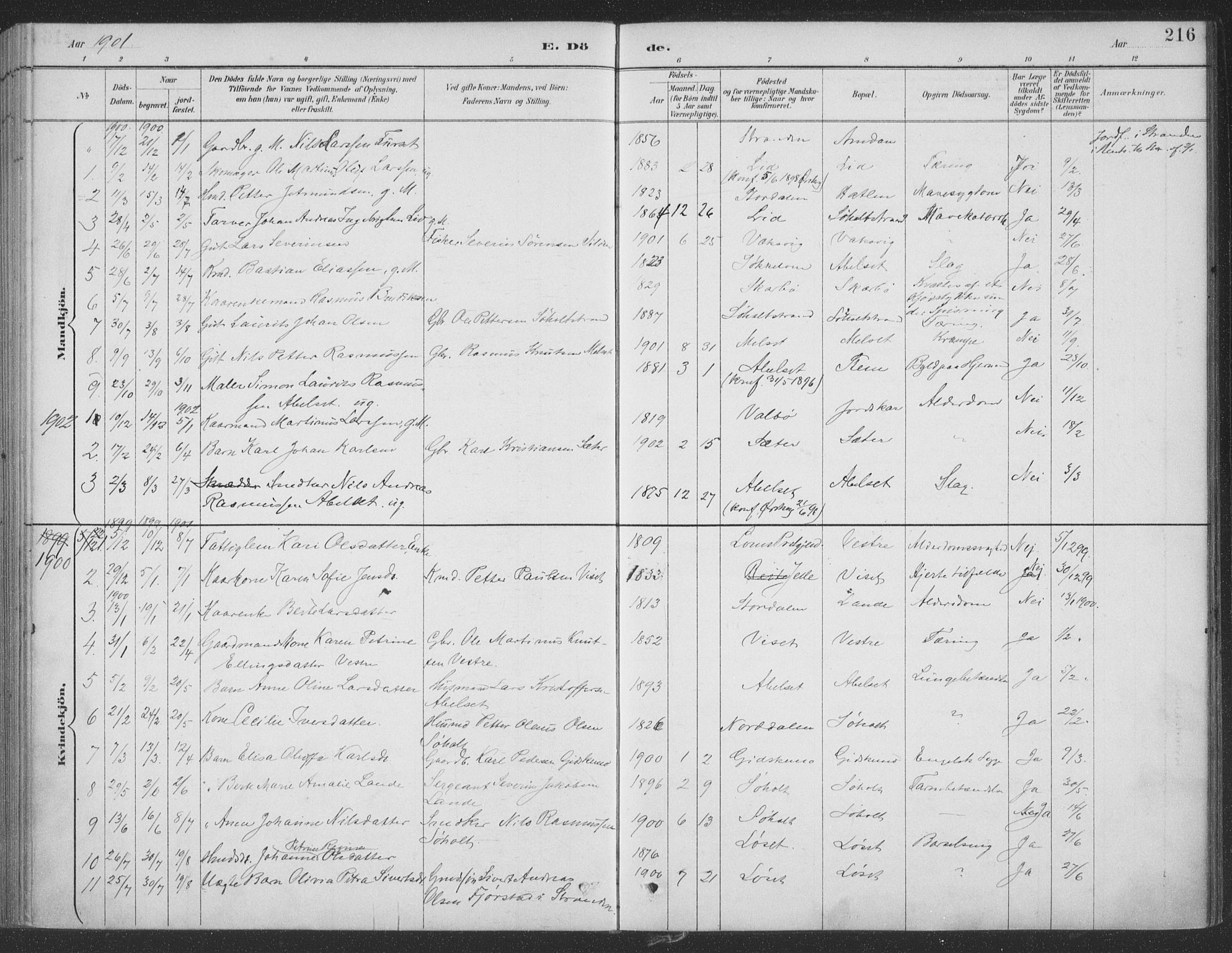 Ministerialprotokoller, klokkerbøker og fødselsregistre - Møre og Romsdal, SAT/A-1454/522/L0316: Parish register (official) no. 522A11, 1890-1911, p. 216