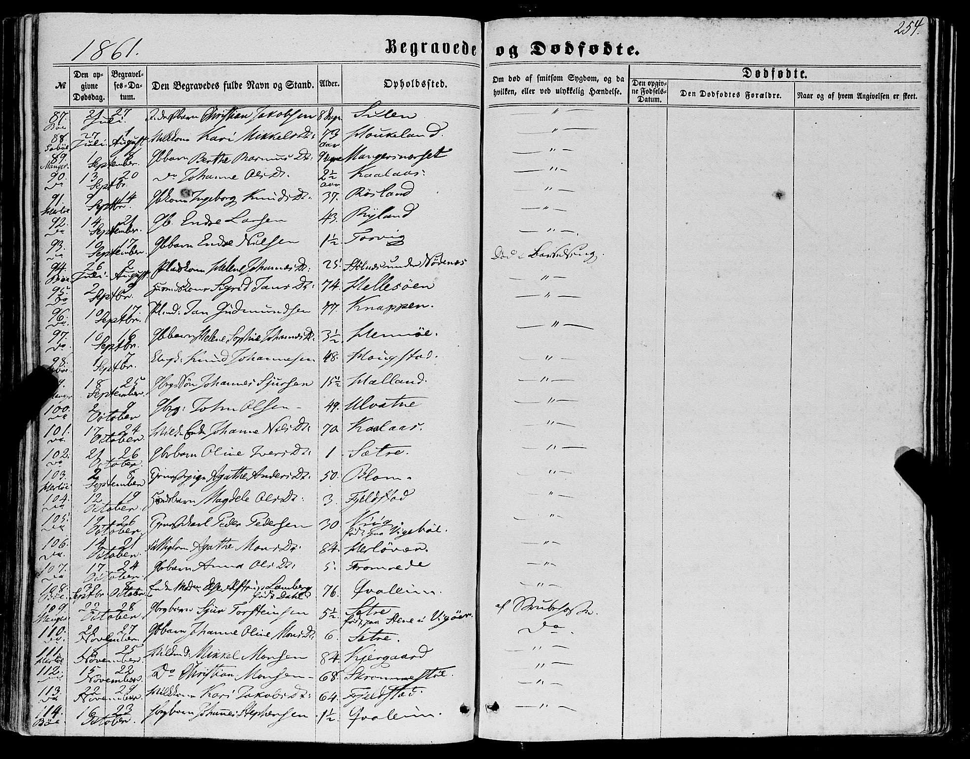 Manger sokneprestembete, AV/SAB-A-76801/H/Haa: Parish register (official) no. A 7, 1860-1870, p. 254