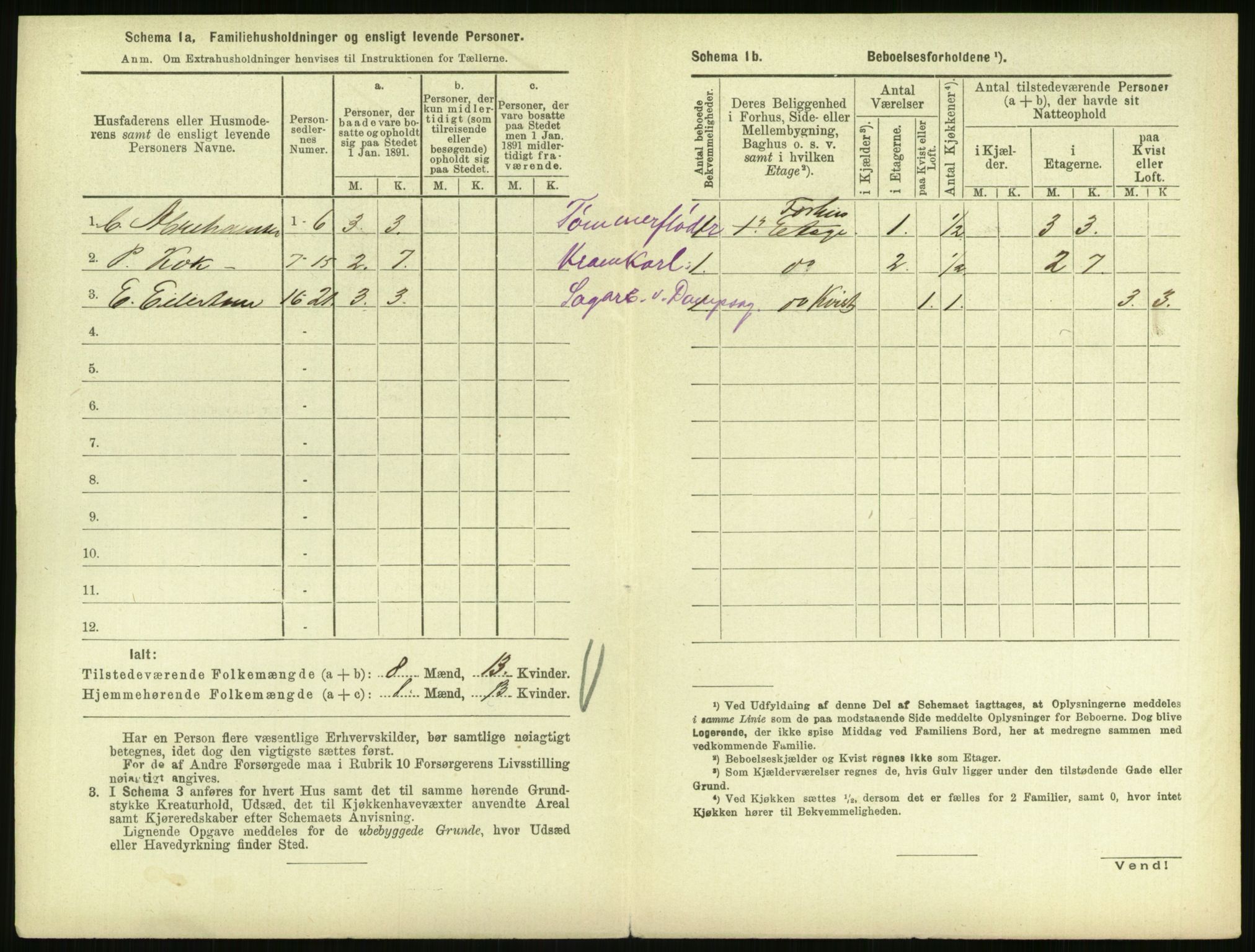 RA, 1891 census for 0707 Larvik, 1891, p. 52