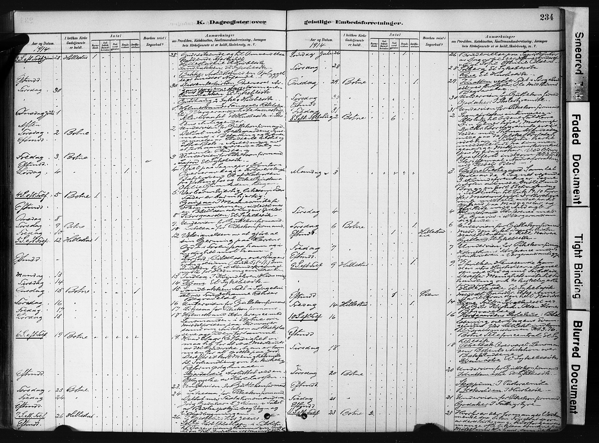 Botne kirkebøker, AV/SAKO-A-340/F/Fb/L0001: Parish register (official) no. II 1, 1878-1902, p. 234