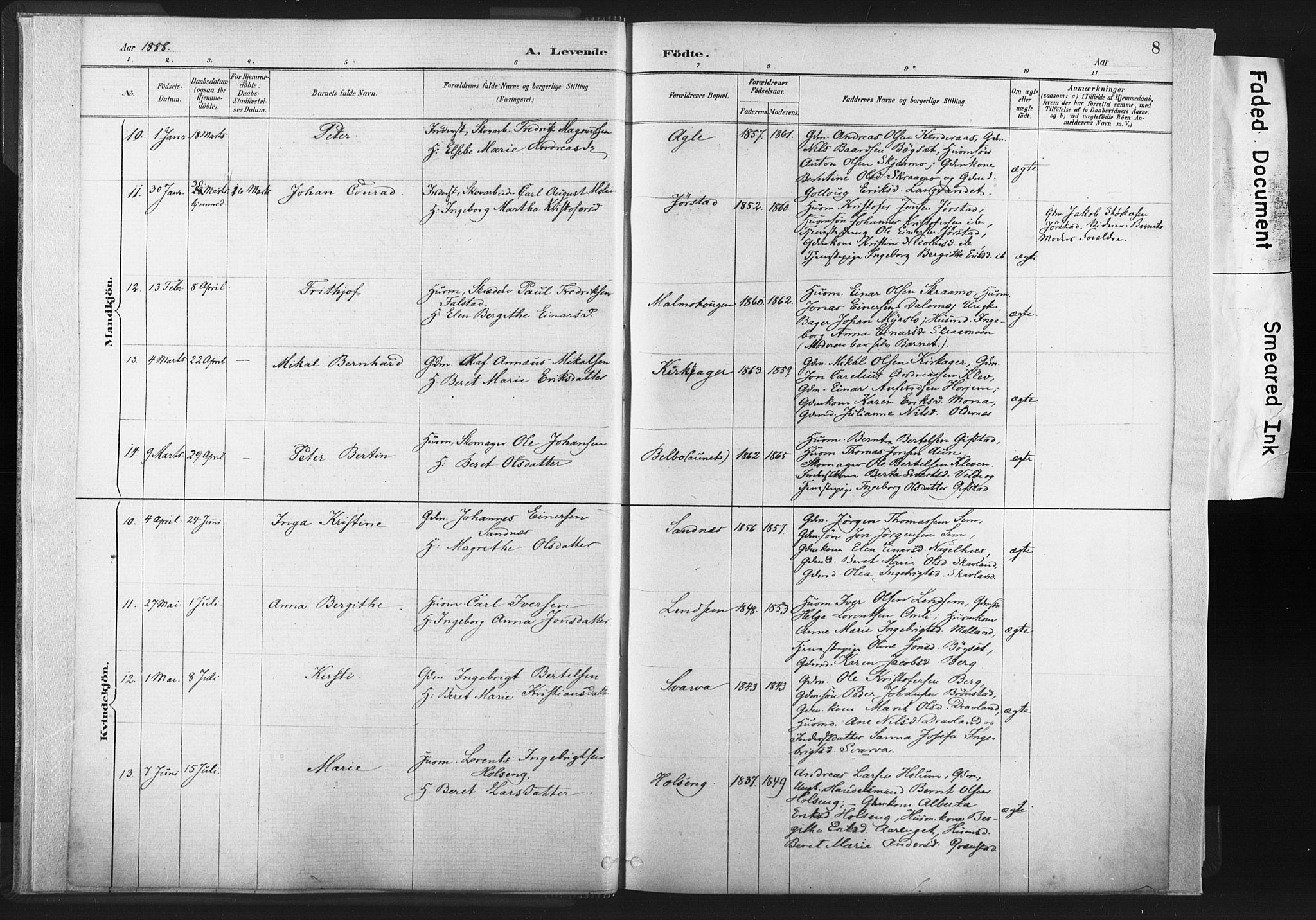 Ministerialprotokoller, klokkerbøker og fødselsregistre - Nord-Trøndelag, AV/SAT-A-1458/749/L0474: Parish register (official) no. 749A08, 1887-1903, p. 8