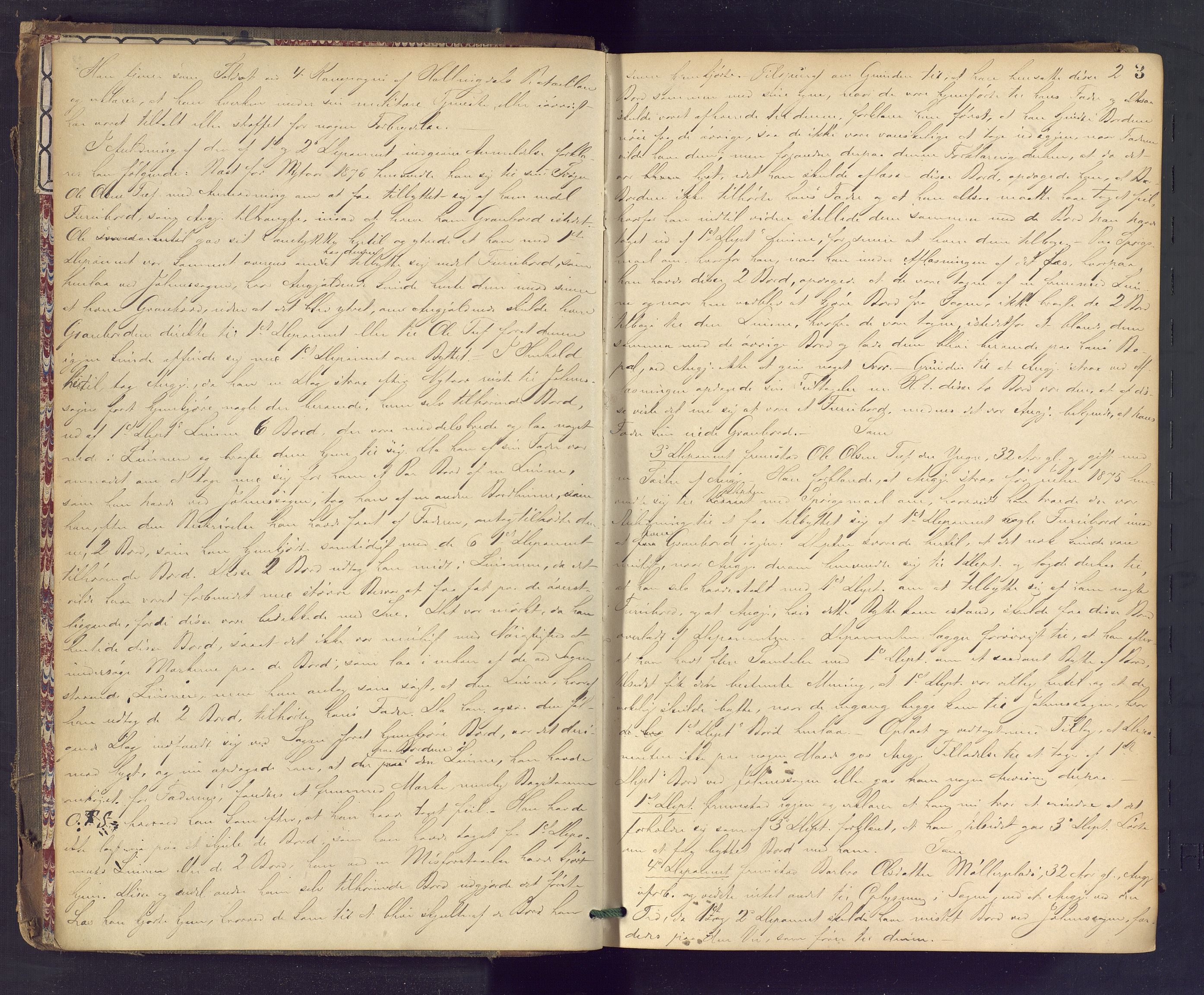 Hallingdal sorenskriveri, SAKO/A-121/F/Fc/L0017: Ekstrarettsprotokoll, 1877-1878, p. 3