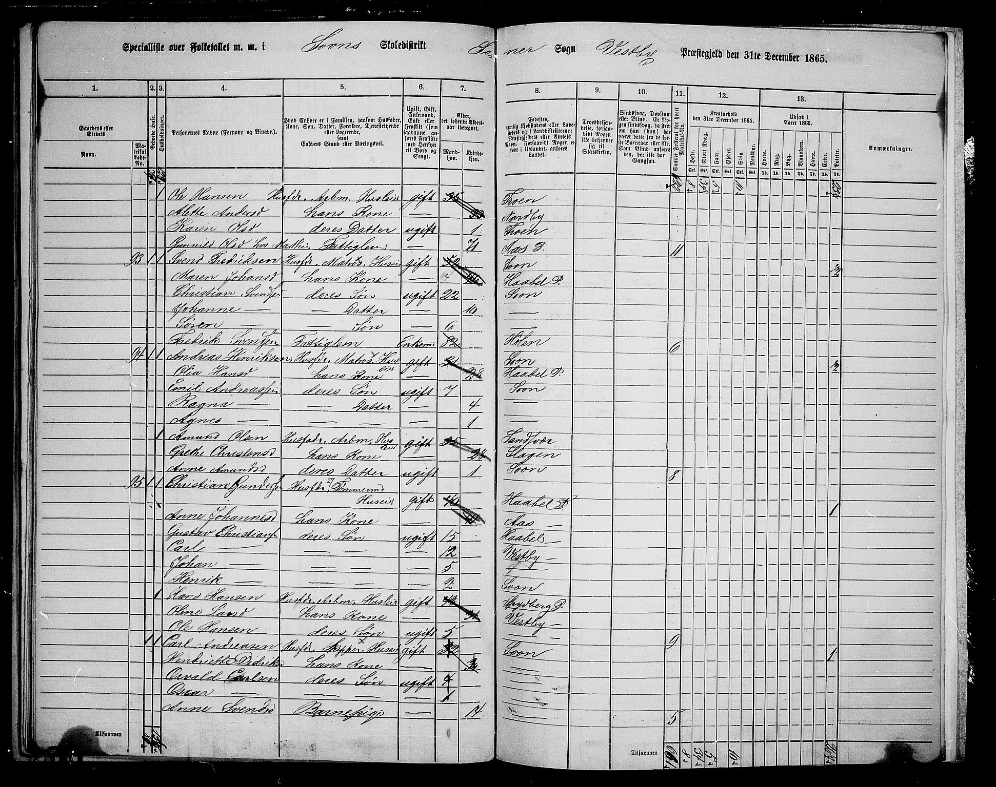 RA, 1865 census for Vestby, 1865, p. 171