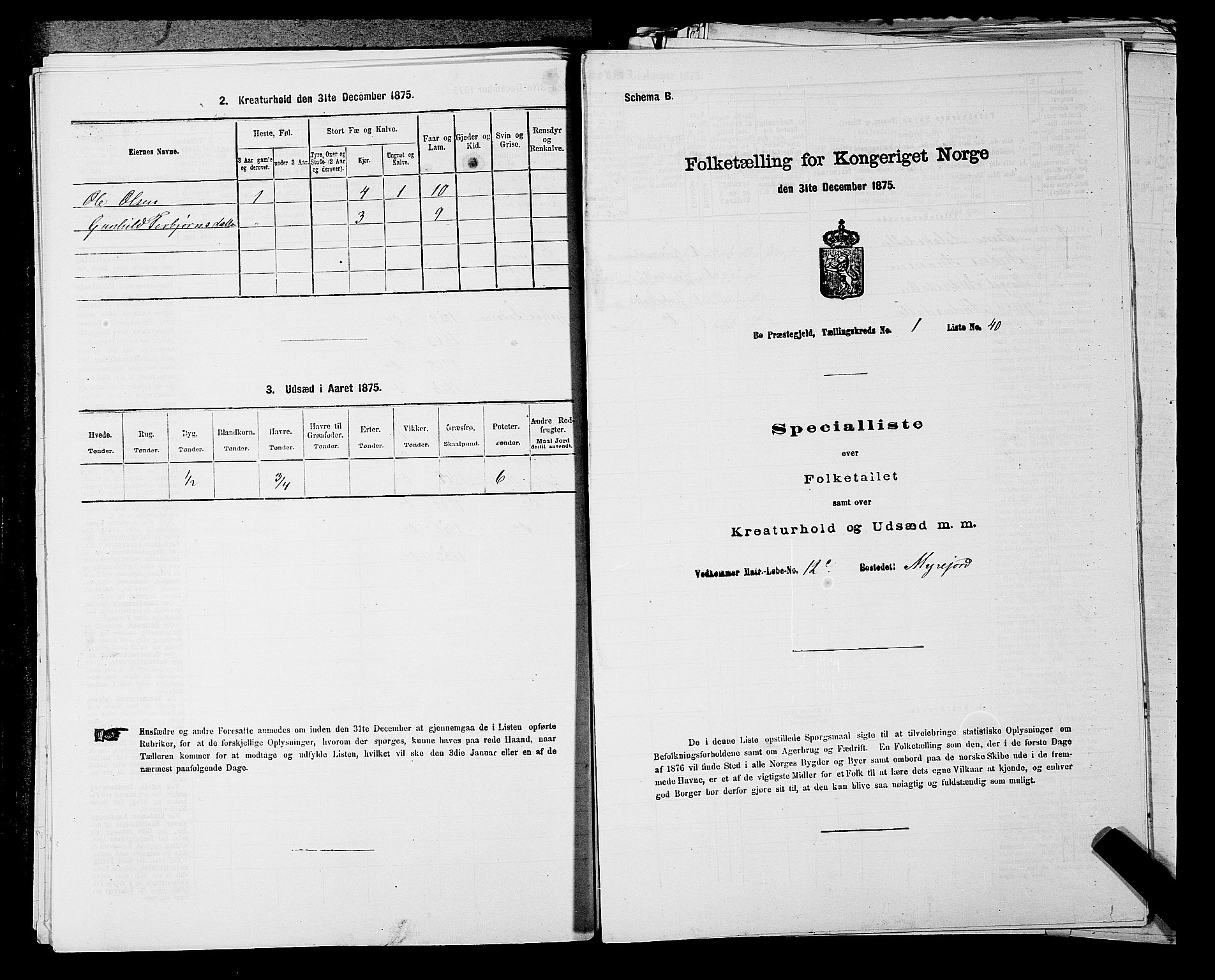 SAKO, 1875 census for 0821P Bø, 1875, p. 120