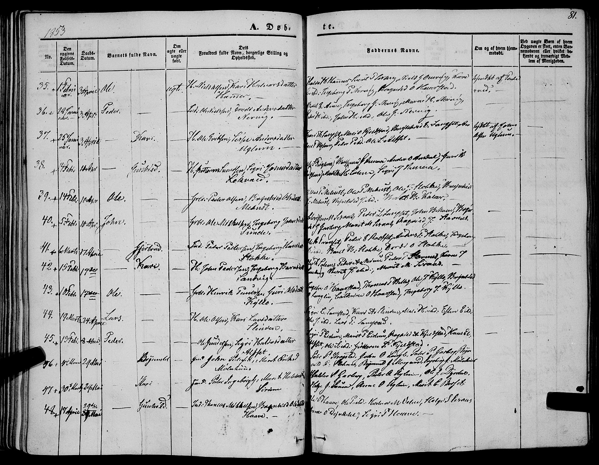 Ministerialprotokoller, klokkerbøker og fødselsregistre - Sør-Trøndelag, AV/SAT-A-1456/695/L1145: Parish register (official) no. 695A06 /1, 1843-1859, p. 81