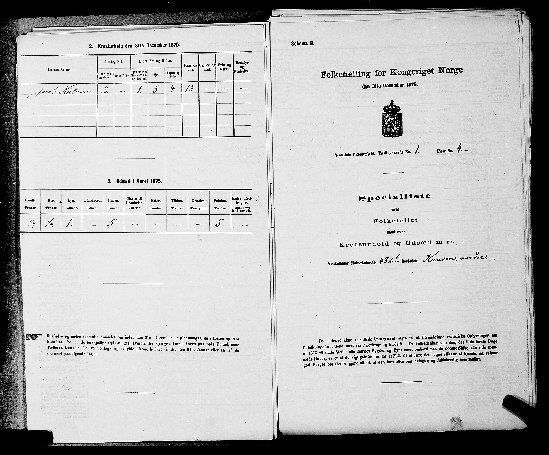 SAKO, 1875 census for 0811P Slemdal, 1875, p. 24