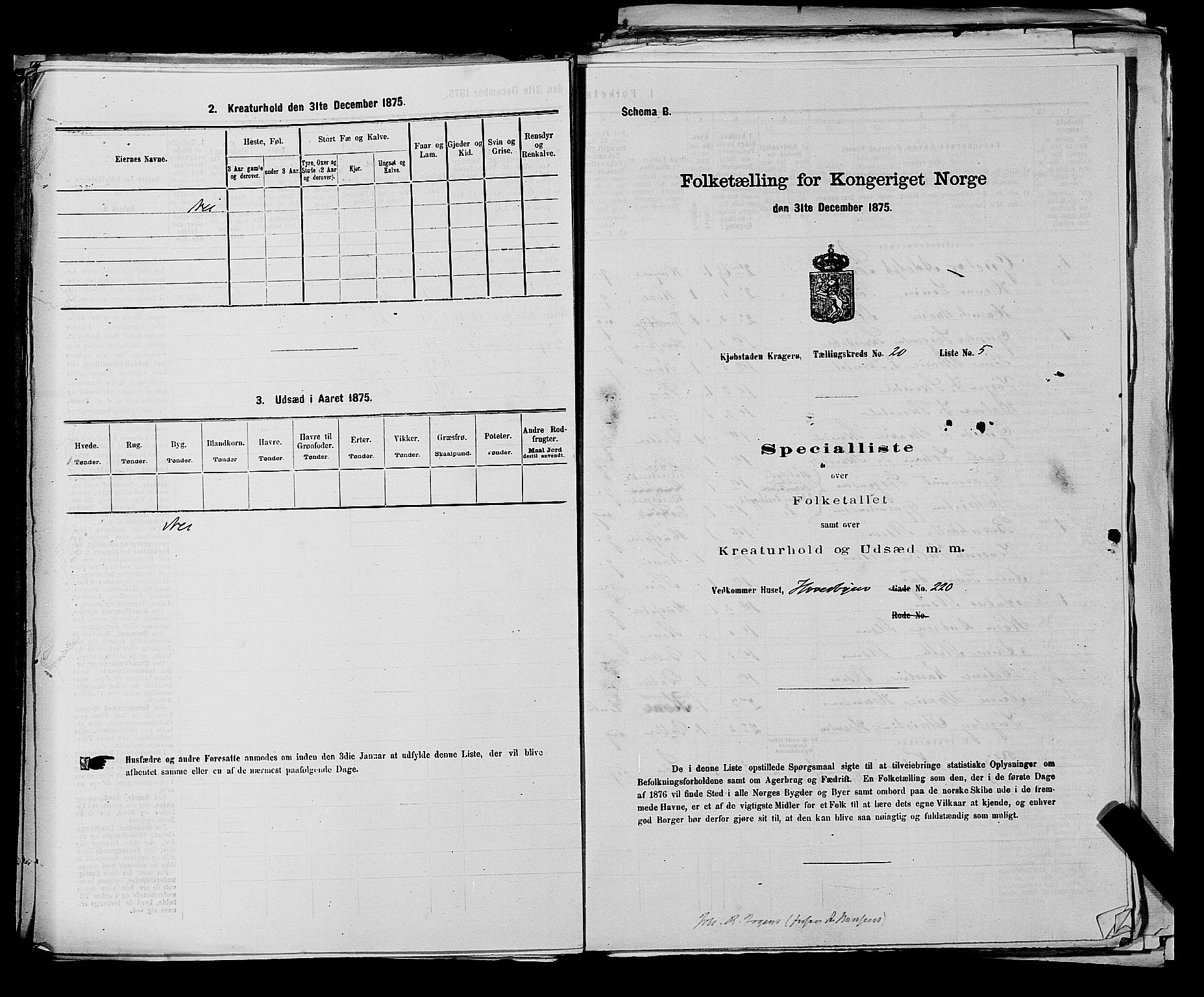 SAKO, 1875 census for 0801P Kragerø, 1875, p. 430