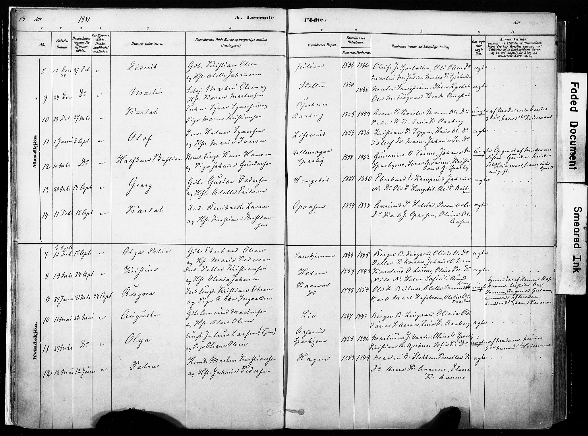 Hof prestekontor, AV/SAH-PREST-038/H/Ha/Haa/L0010: Parish register (official) no. 10, 1878-1909, p. 13