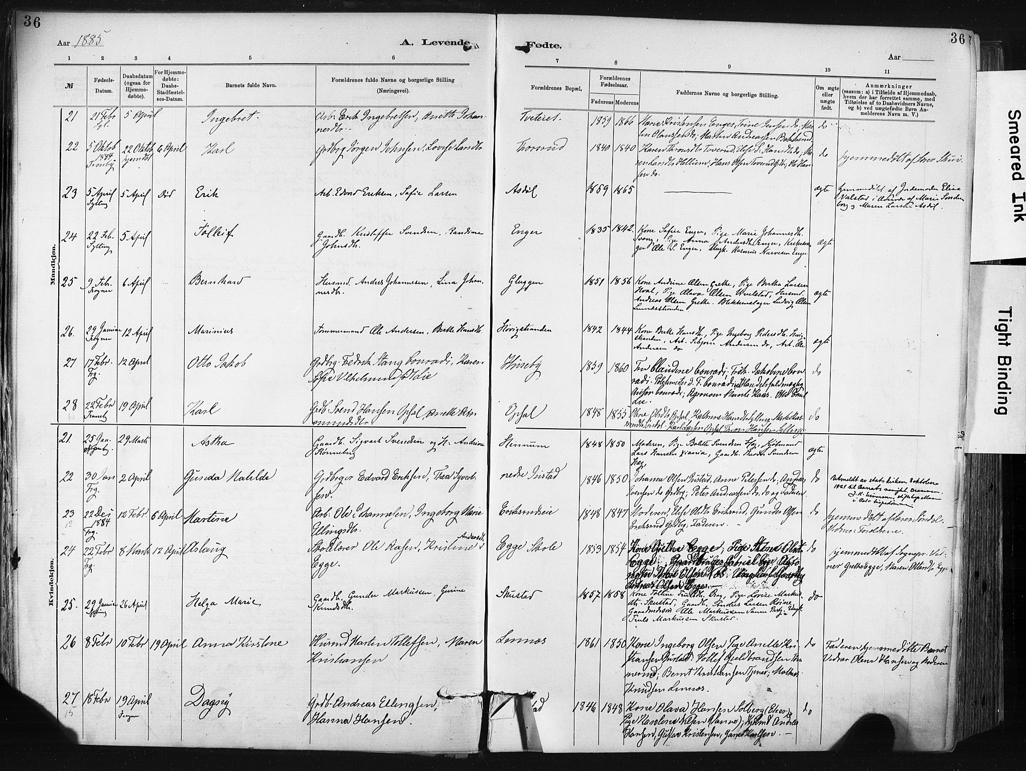 Lier kirkebøker, SAKO/A-230/F/Fa/L0015: Parish register (official) no. I 15, 1883-1894, p. 36