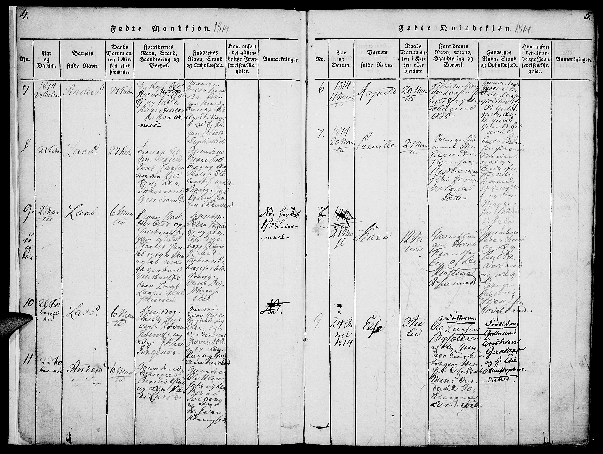 Nes prestekontor, Hedmark, SAH/PREST-020/K/Ka/L0002: Parish register (official) no. 2, 1813-1827, p. 4-5