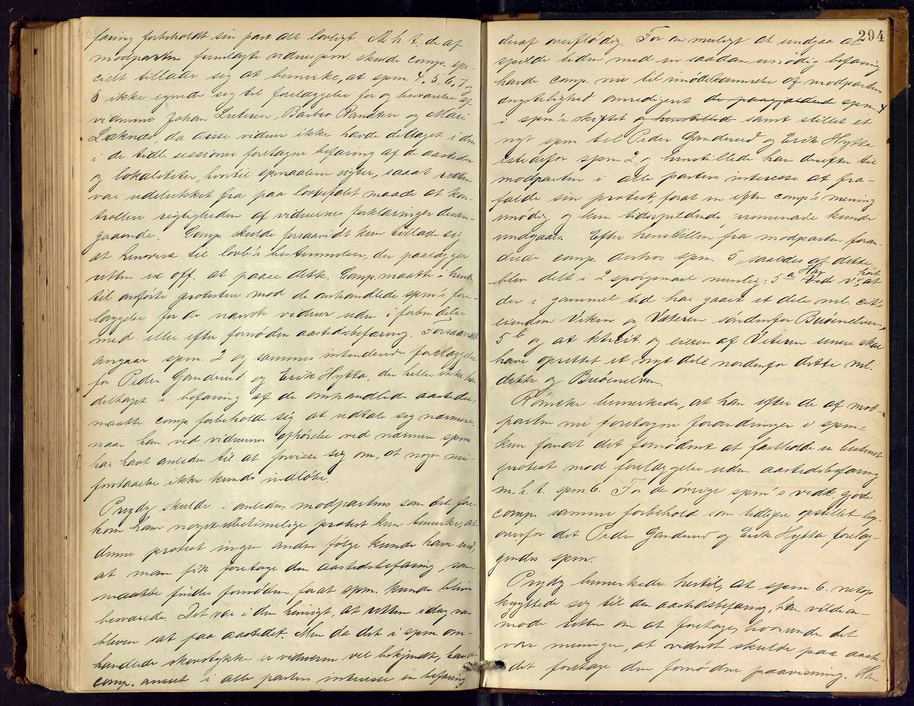 Hallingdal sorenskriveri, AV/SAKO-A-121/F/Fc/L0022: Ekstrarettsprotokoll, 1884-1894, p. 294