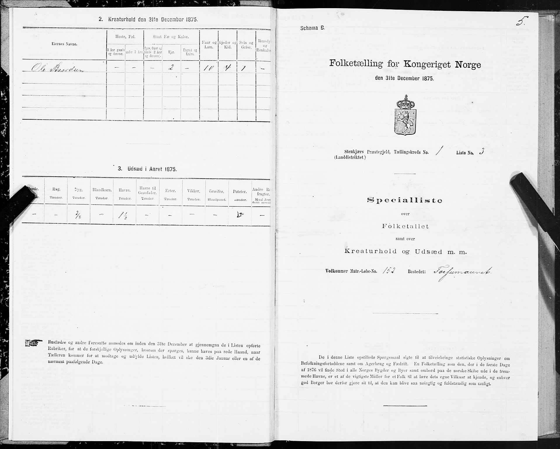 SAT, 1875 census for 1733L Steinkjer/Egge, 1875, p. 1005