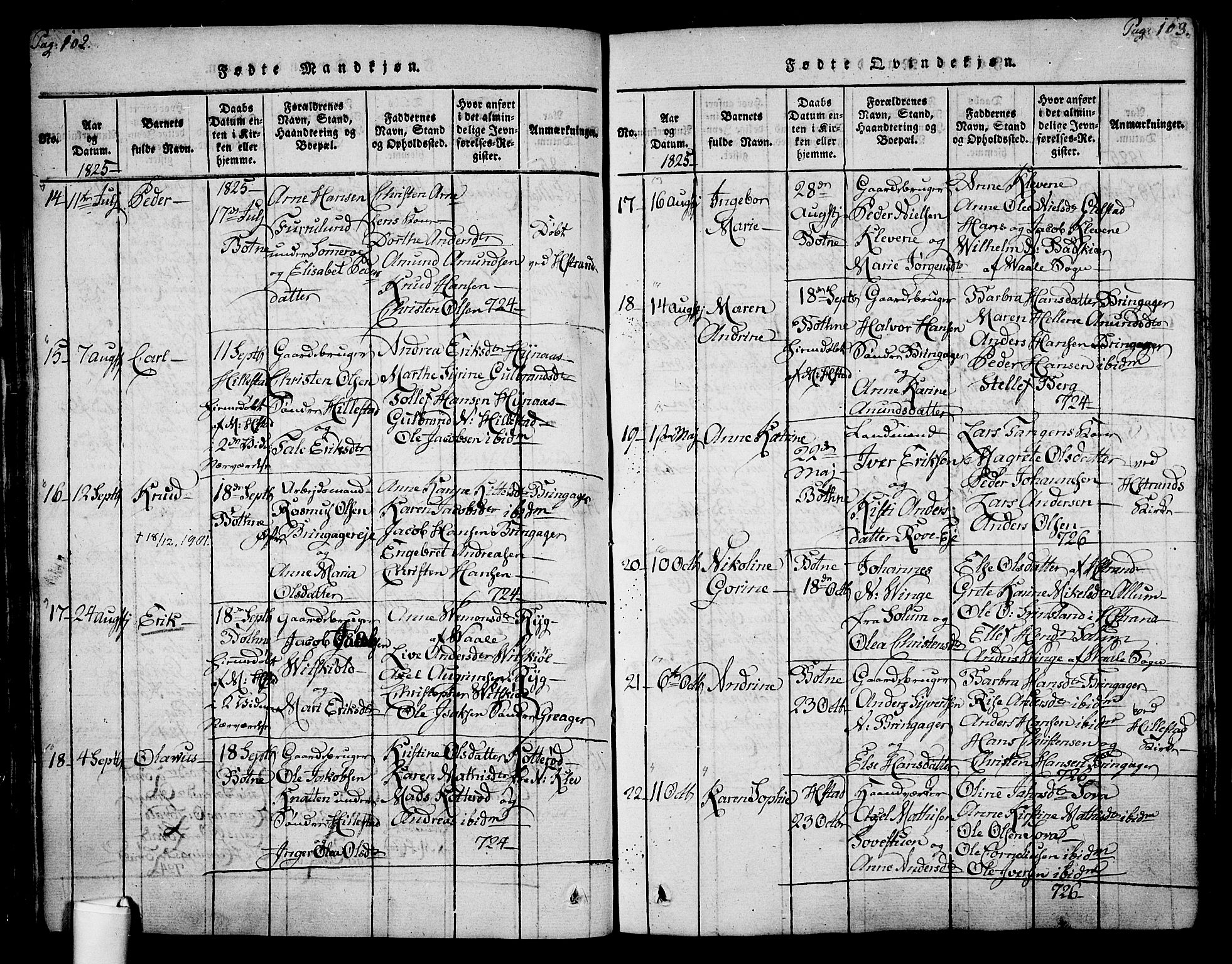 Botne kirkebøker, AV/SAKO-A-340/F/Fa/L0005: Parish register (official) no. I 5, 1814-1836, p. 102-103