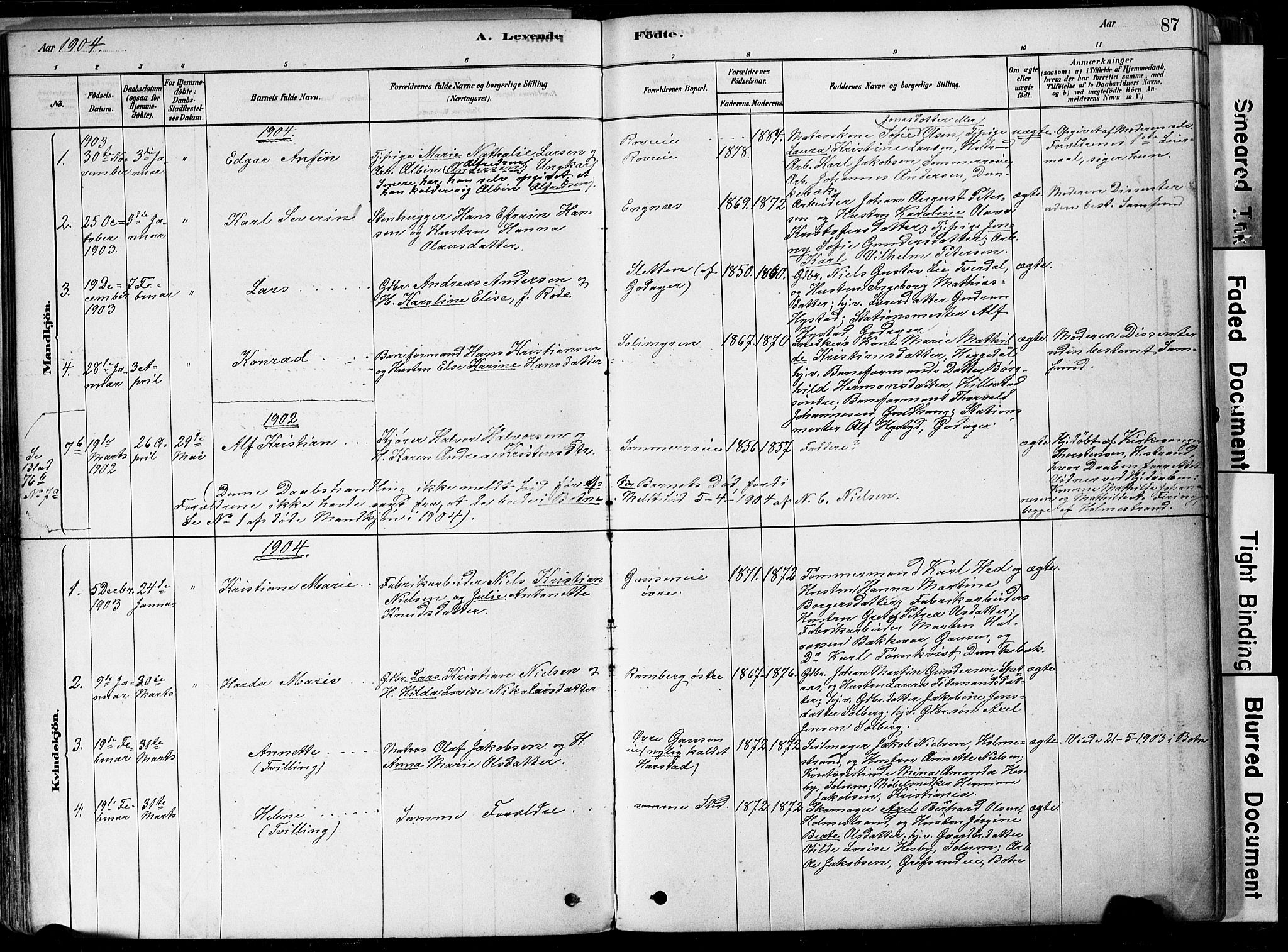 Botne kirkebøker, AV/SAKO-A-340/F/Fa/L0007: Parish register (official) no. I 7, 1878-1910, p. 87