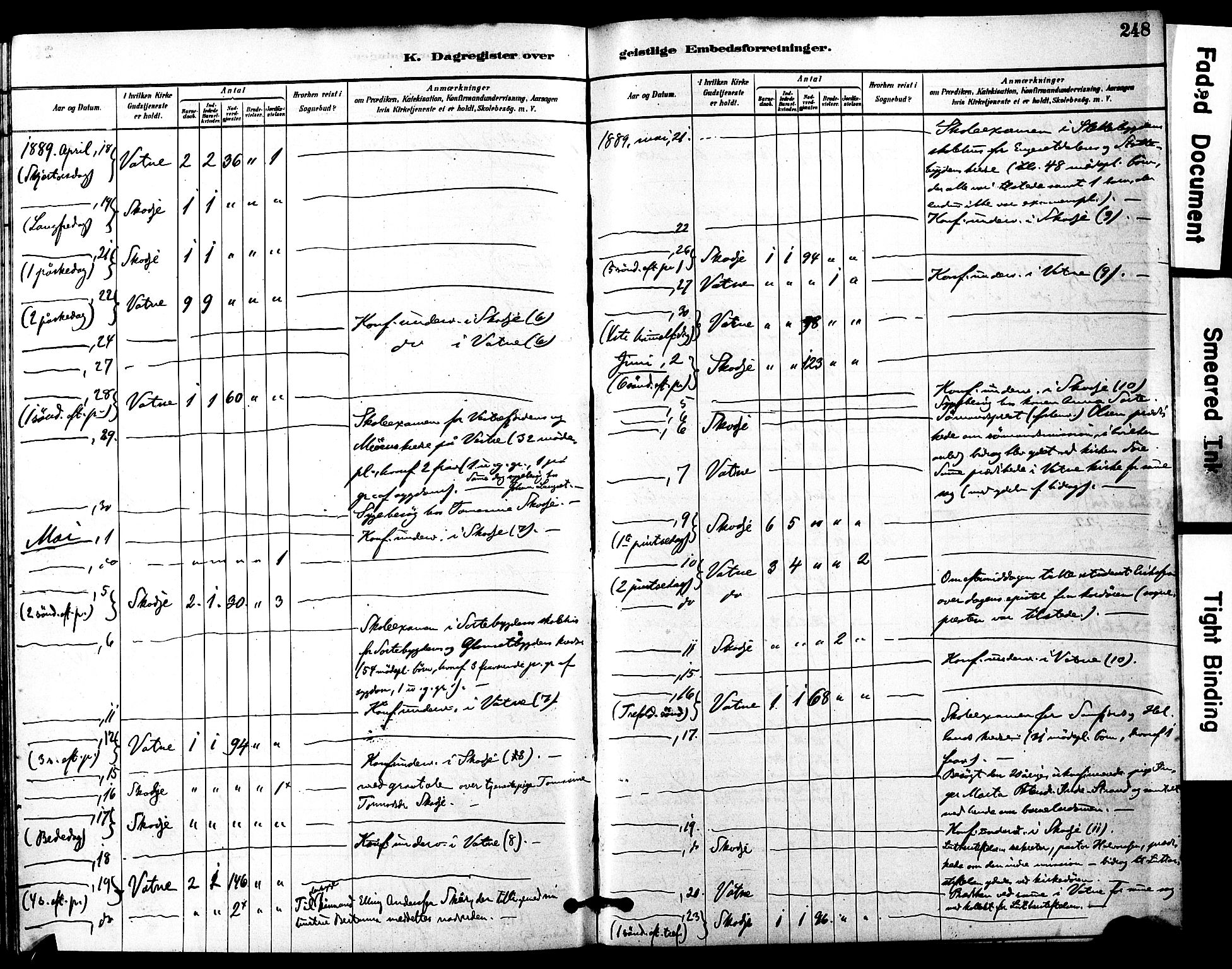 Ministerialprotokoller, klokkerbøker og fødselsregistre - Møre og Romsdal, AV/SAT-A-1454/525/L0374: Parish register (official) no. 525A04, 1880-1899, p. 248