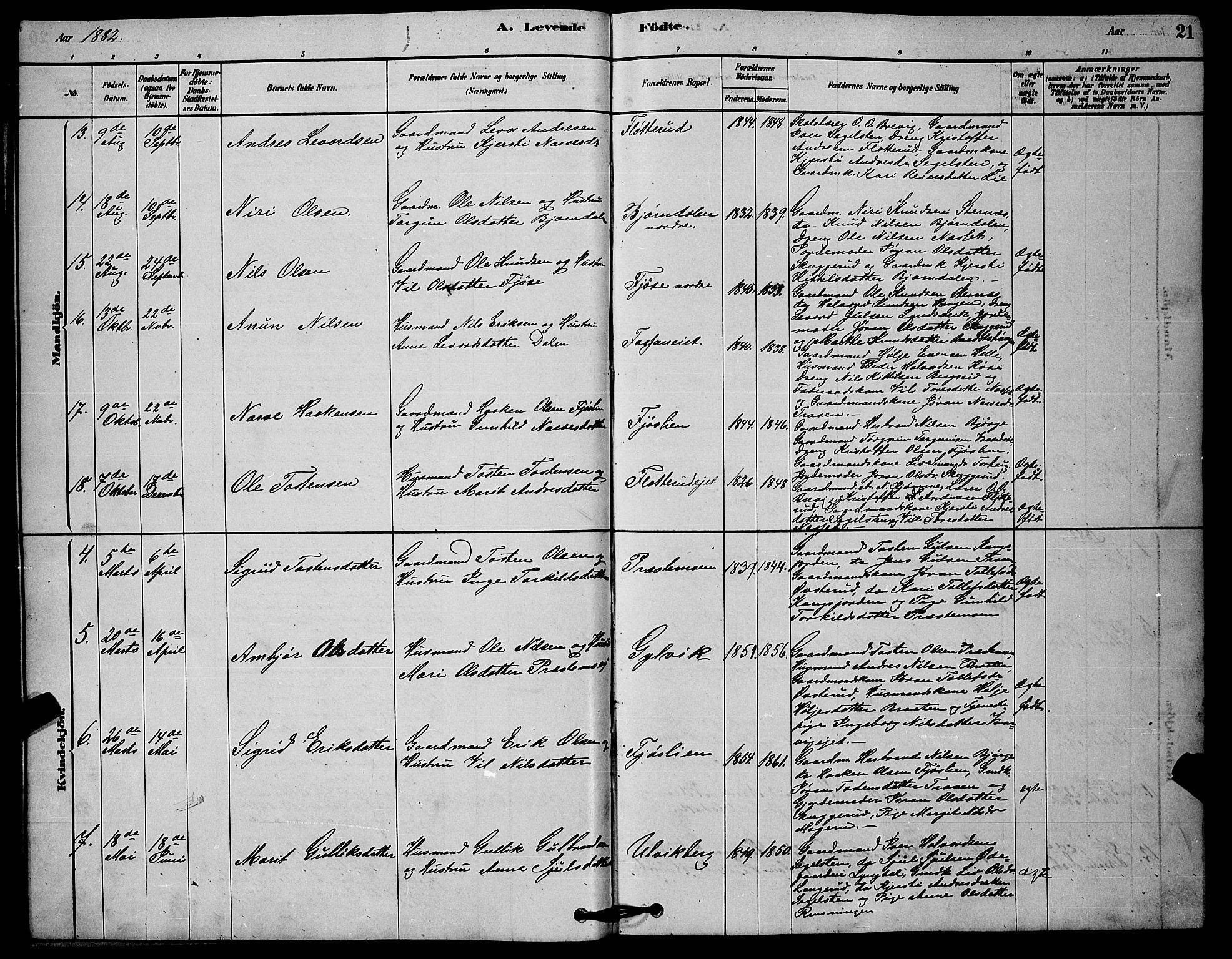 Rollag kirkebøker, AV/SAKO-A-240/G/Ga/L0004: Parish register (copy) no. I 4, 1878-1903, p. 21